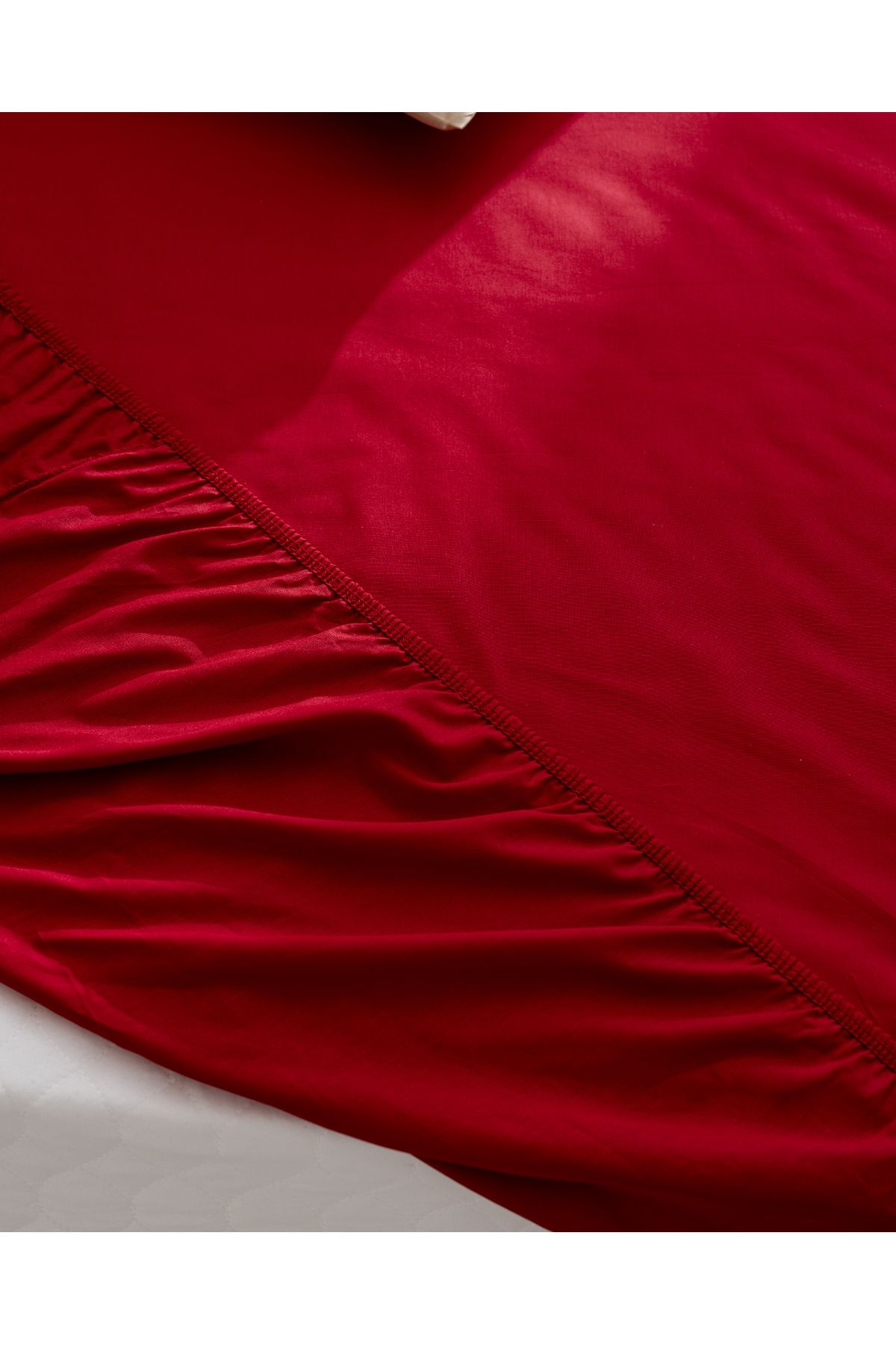 Madame Coco-Manon King Size 100% Cotton Ranforce Elastic Sheet - Red 4