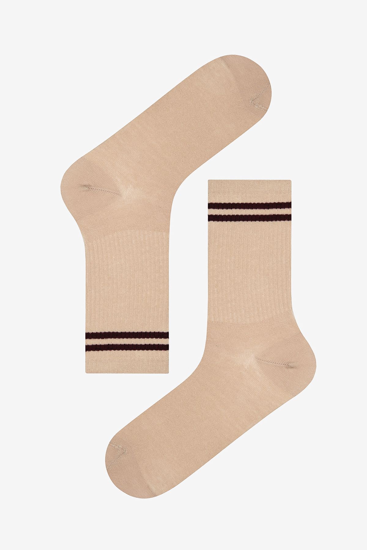 Penti-Brown Green Men's Socks - Colorful Stripe 2