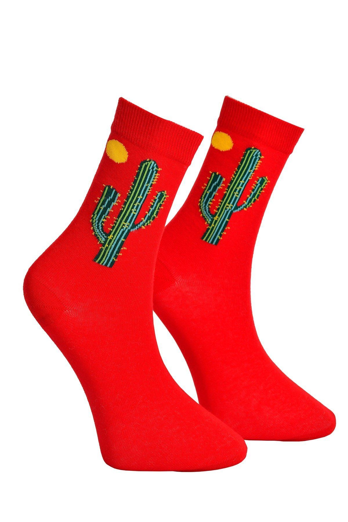 PİNK STAR Unisex Kaktüs Desenli Çorap Kırmızı - LksÇrp06