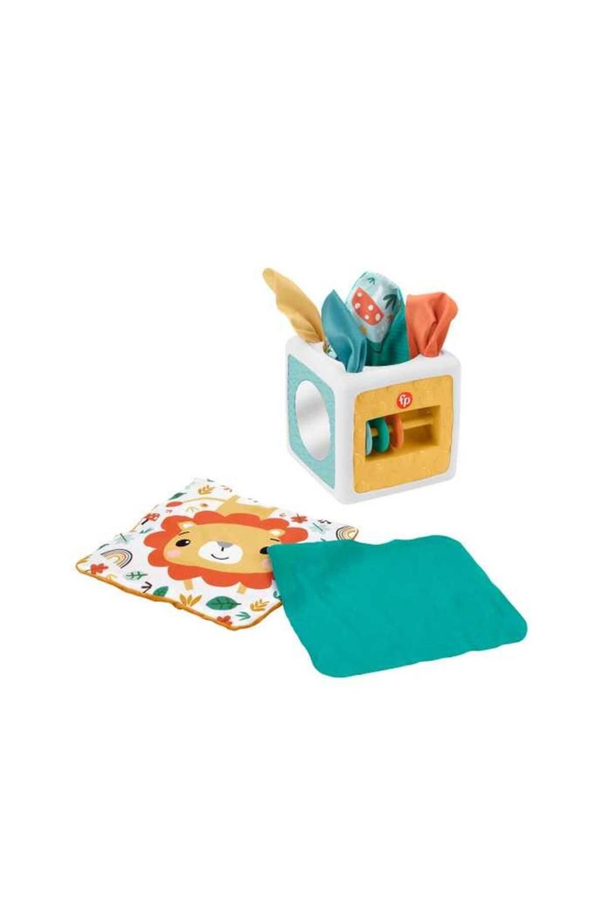 NessiWorld mrpurple HML64 Fisher-Price® Eğlenceli Aktivite Küpü
