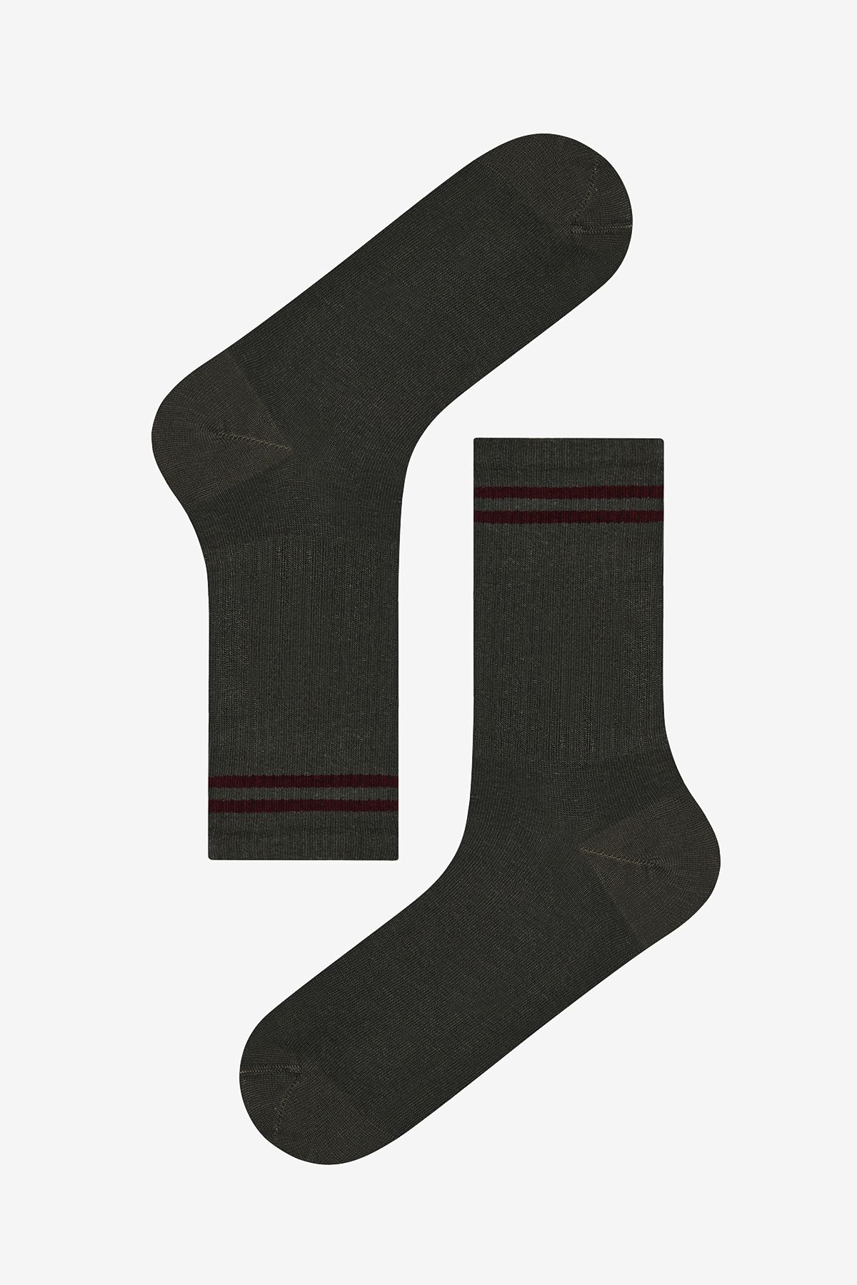 Penti-Brown Green Men's Socks - Colorful Stripe 4