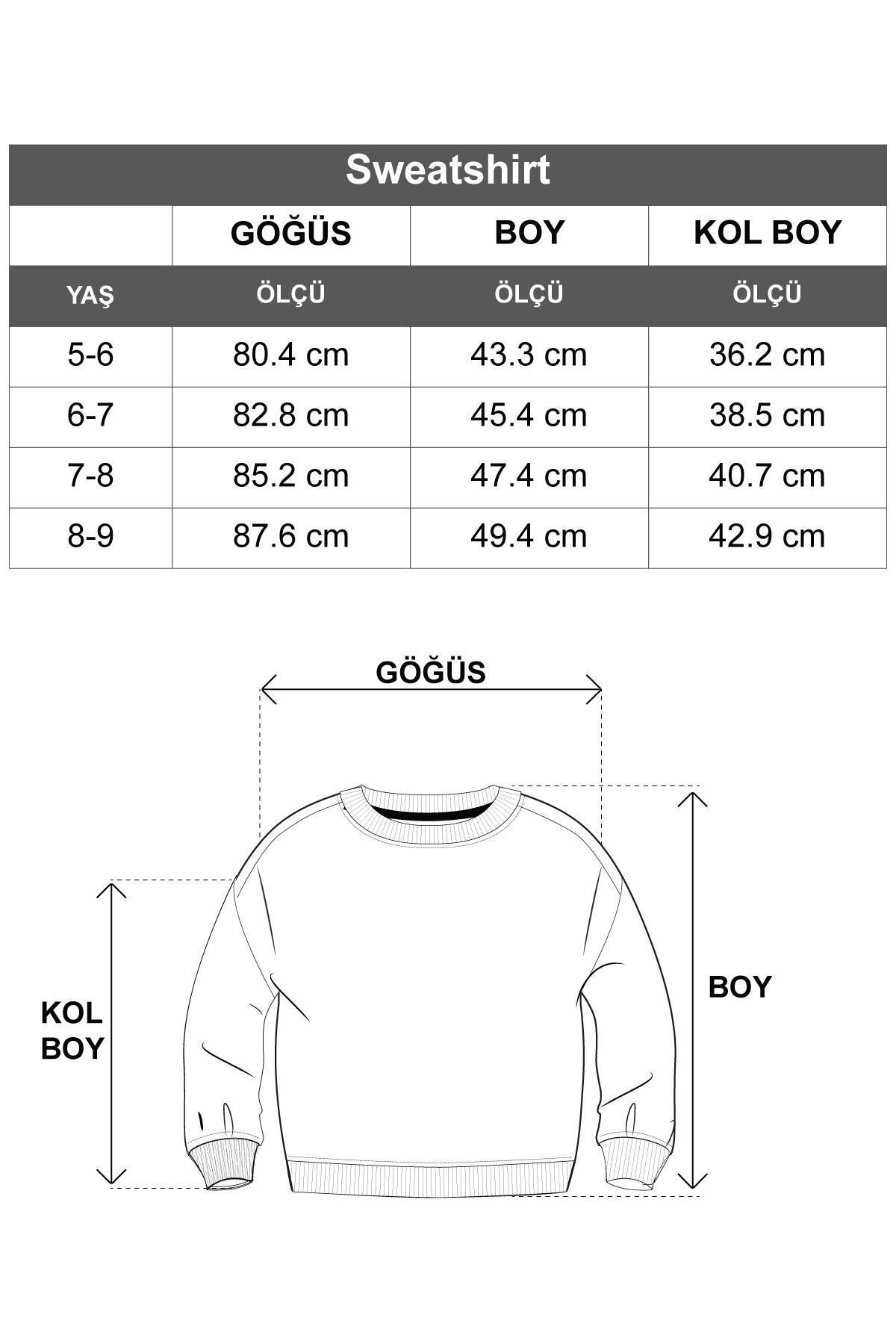 zepkids-Crew Neck Long Sleeve Weekend Feel Printed Khaki Color Boy's Sweatshirt 5