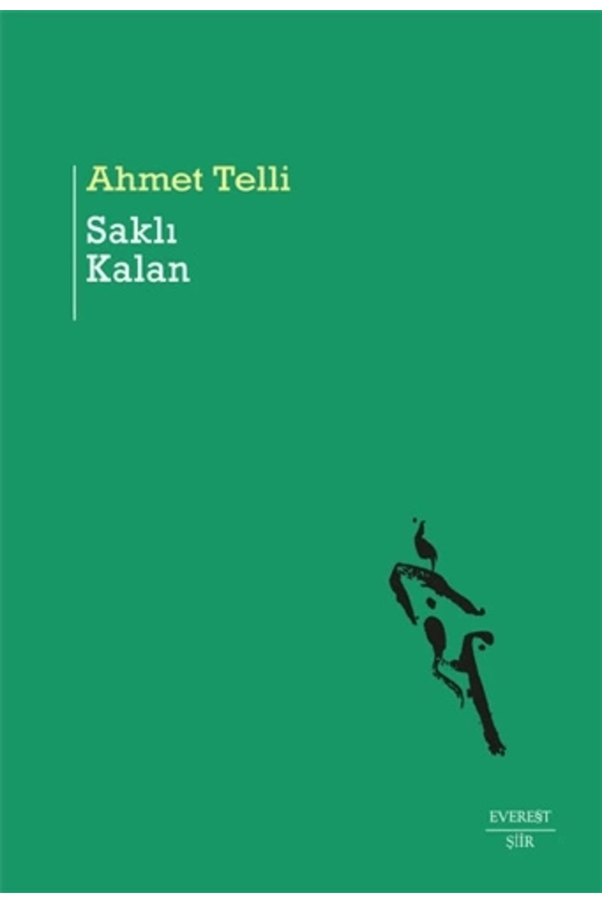 Zahrada Yayınları Saklı Kalan