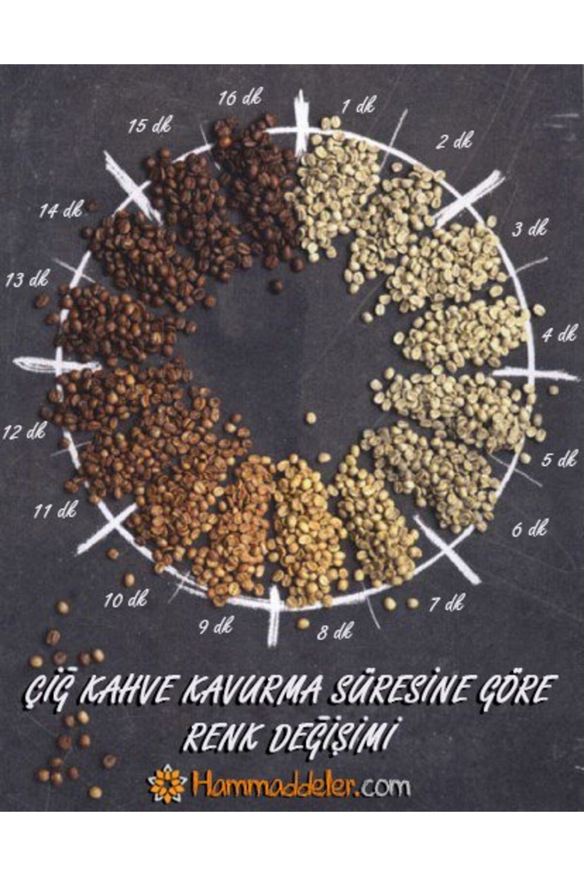 bevo-Brazil Rio Minas Nicchio Sobrinho Arabica Raw Coffee Bean (19 Strands) 100 G 4