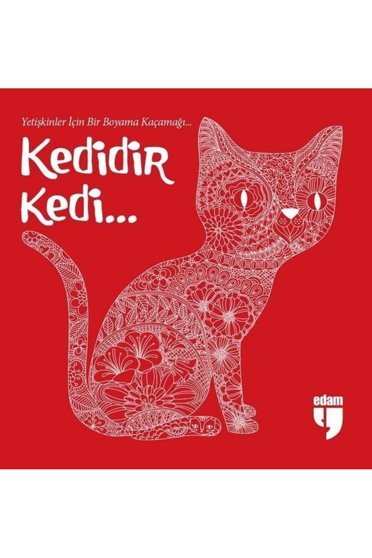 Destek Yayınları Kedidir Kedi