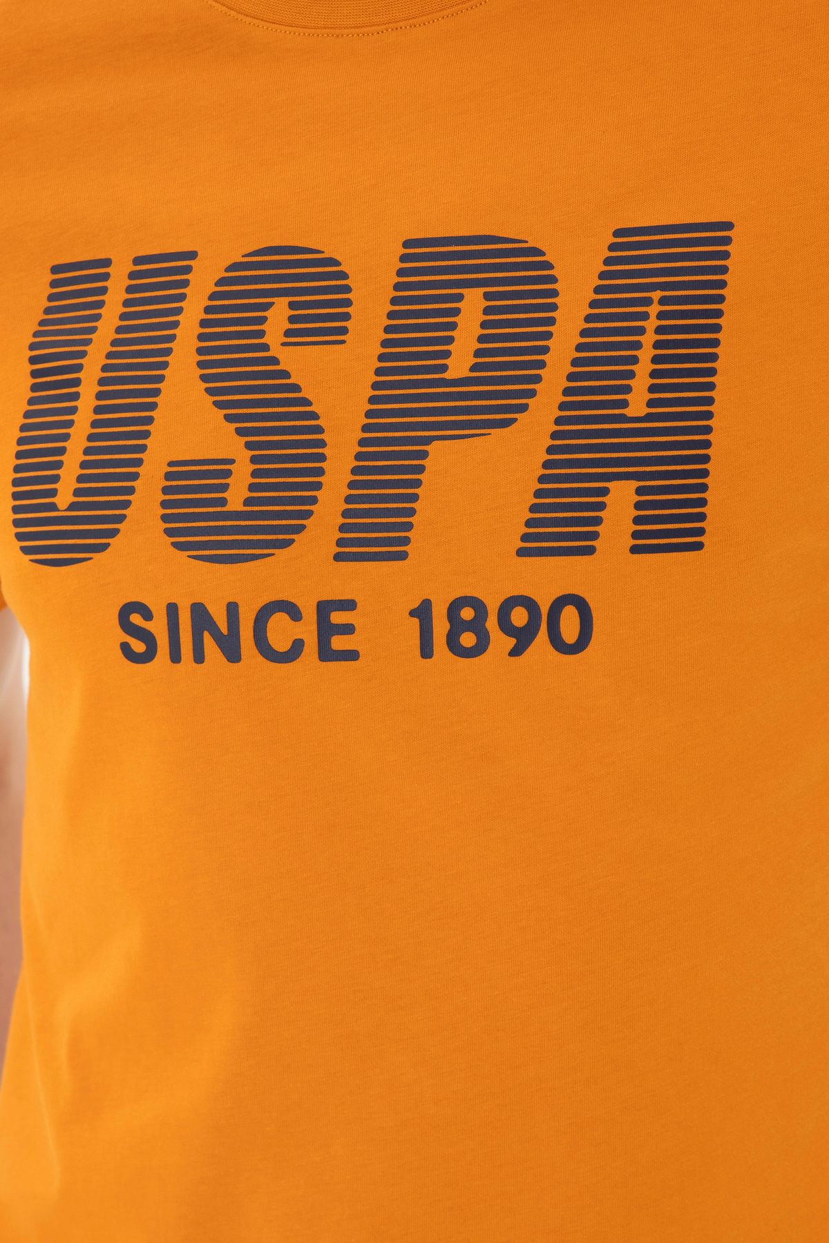U.S. Polo Assn.-تي شيرت رجالي ذو قصة عادية برقبة دائرية 50282027 -vr031 7
