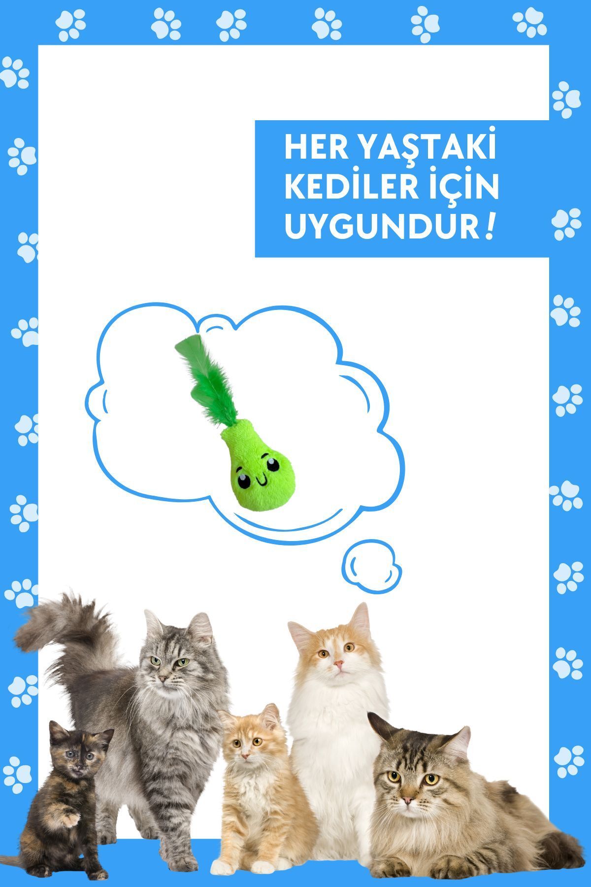Miyav-Plush Pear Cat Toy with Green Catnip - Cat Herb Toys 7