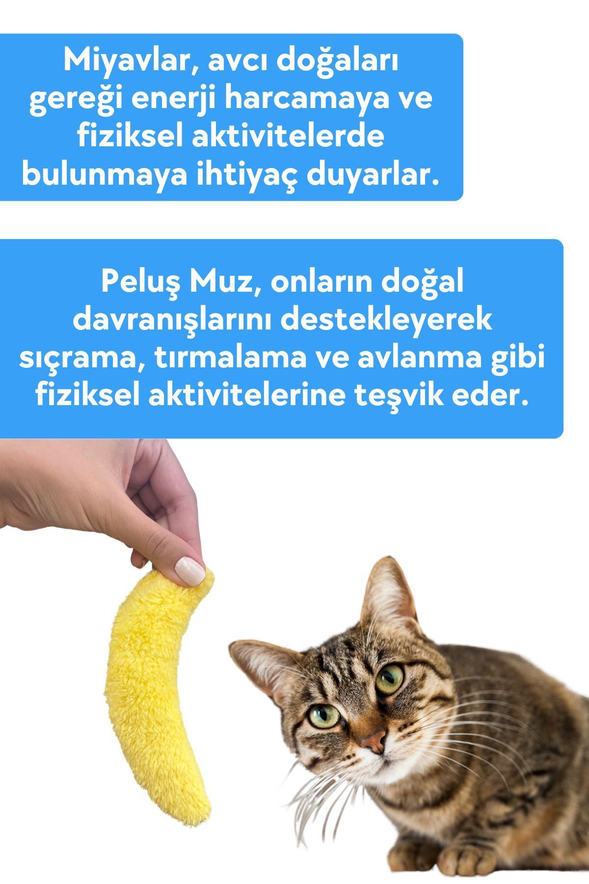 Miyav-Yellow Plush Banana Cat Toy - Cat Toys with Catnip and Herb 6