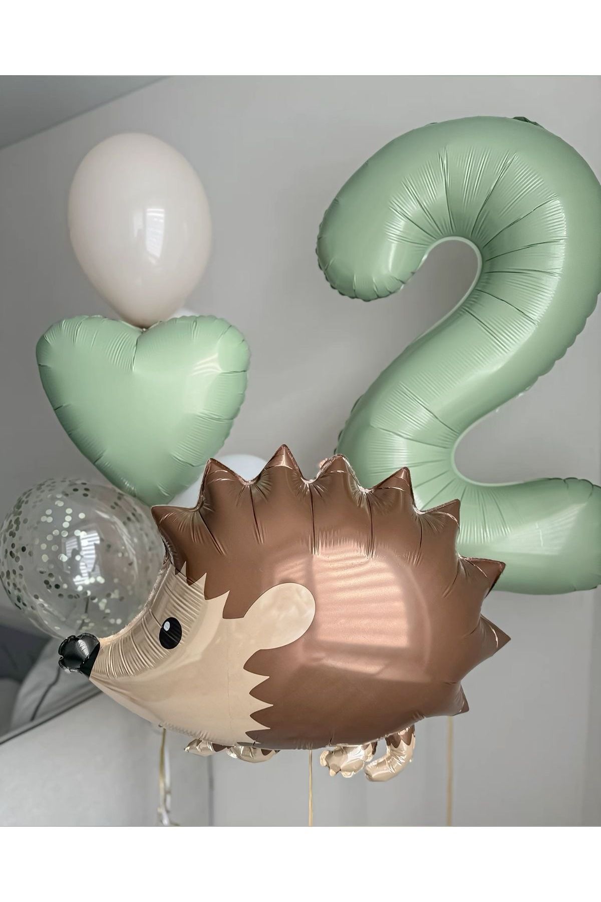 Partifabrik-2 Eakam Hedgehog Sage Balloon Set - 6 Pieces 1