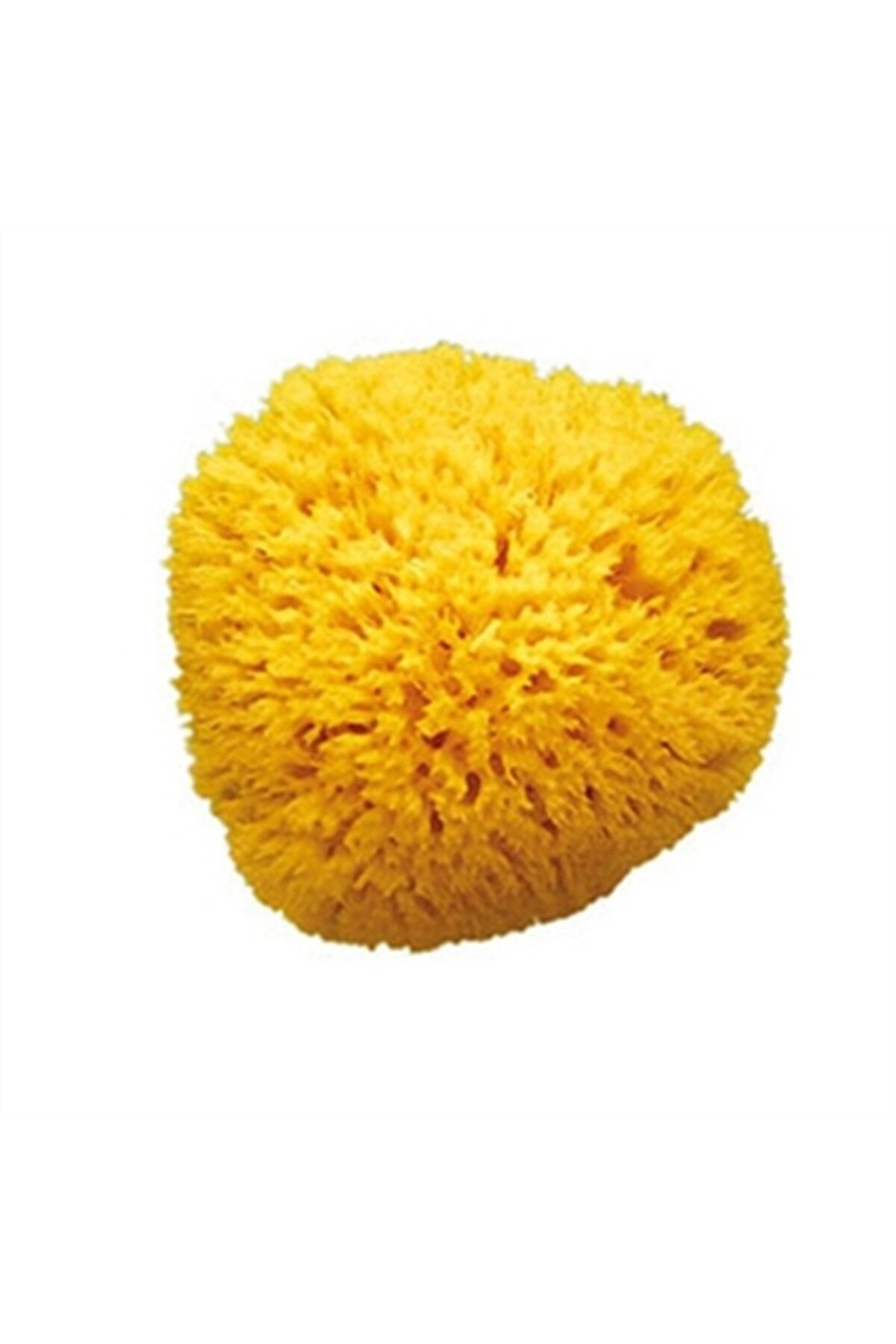 OkBaby ASFSTORE OkBaby Doğal Banyo Süngeri / Orta