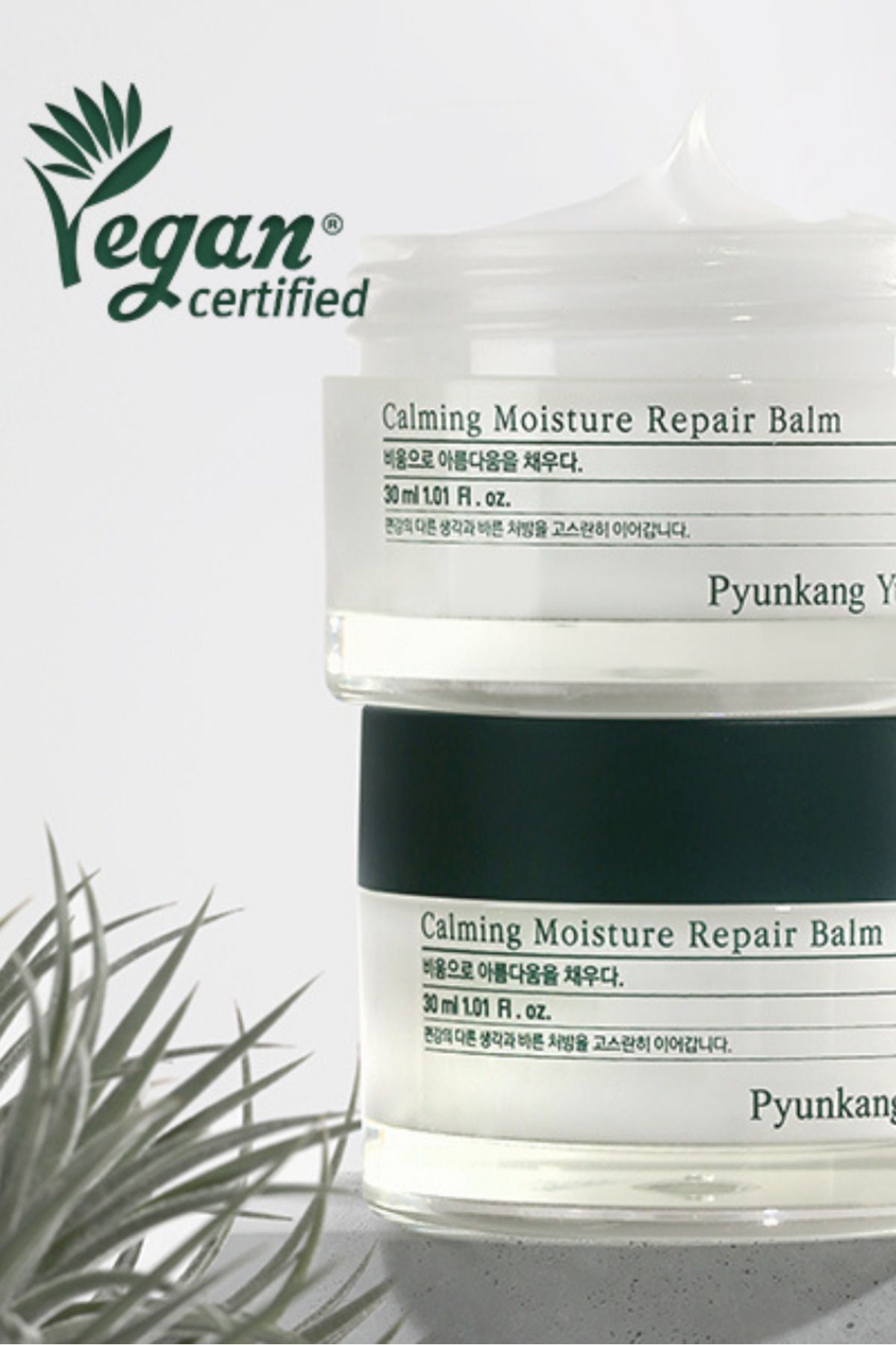 Pyunkang Yul-Pyunkang Yul Calming Moisture Repair Balm 30 ml - Intensively soothing and moisturizing face cream 3