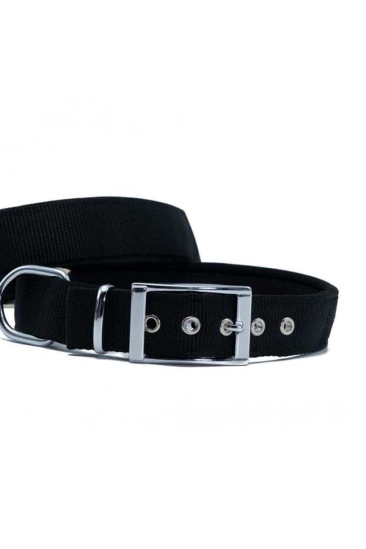 O Dog Furlo Doggie Elit Dokuma Köpek Boyun Tasması Medium Siyah 3x42-50 Cm