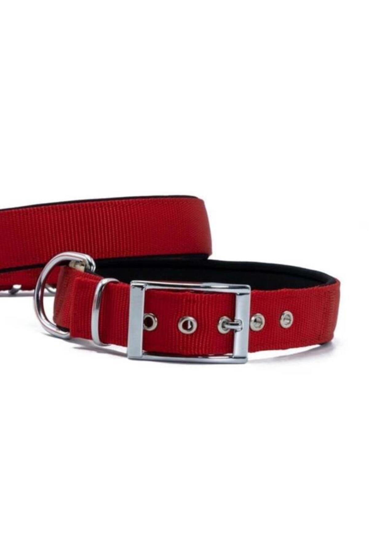 O Dog Doggie Elit Dokuma Köpek Boyun Tasması Medium Kırmızı 3x42-50 Cm - Petshopundan