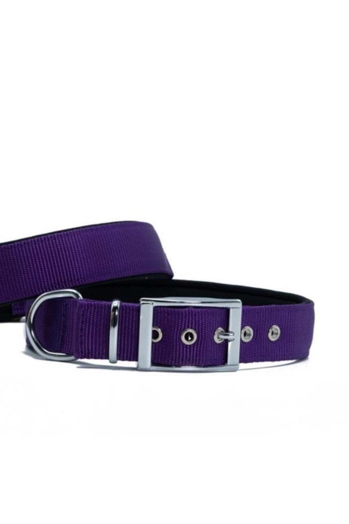 O Dog Furlo Doggie Elit Dokuma Köpek Boyun Tasması Large Mor 3x47-55 Cm
