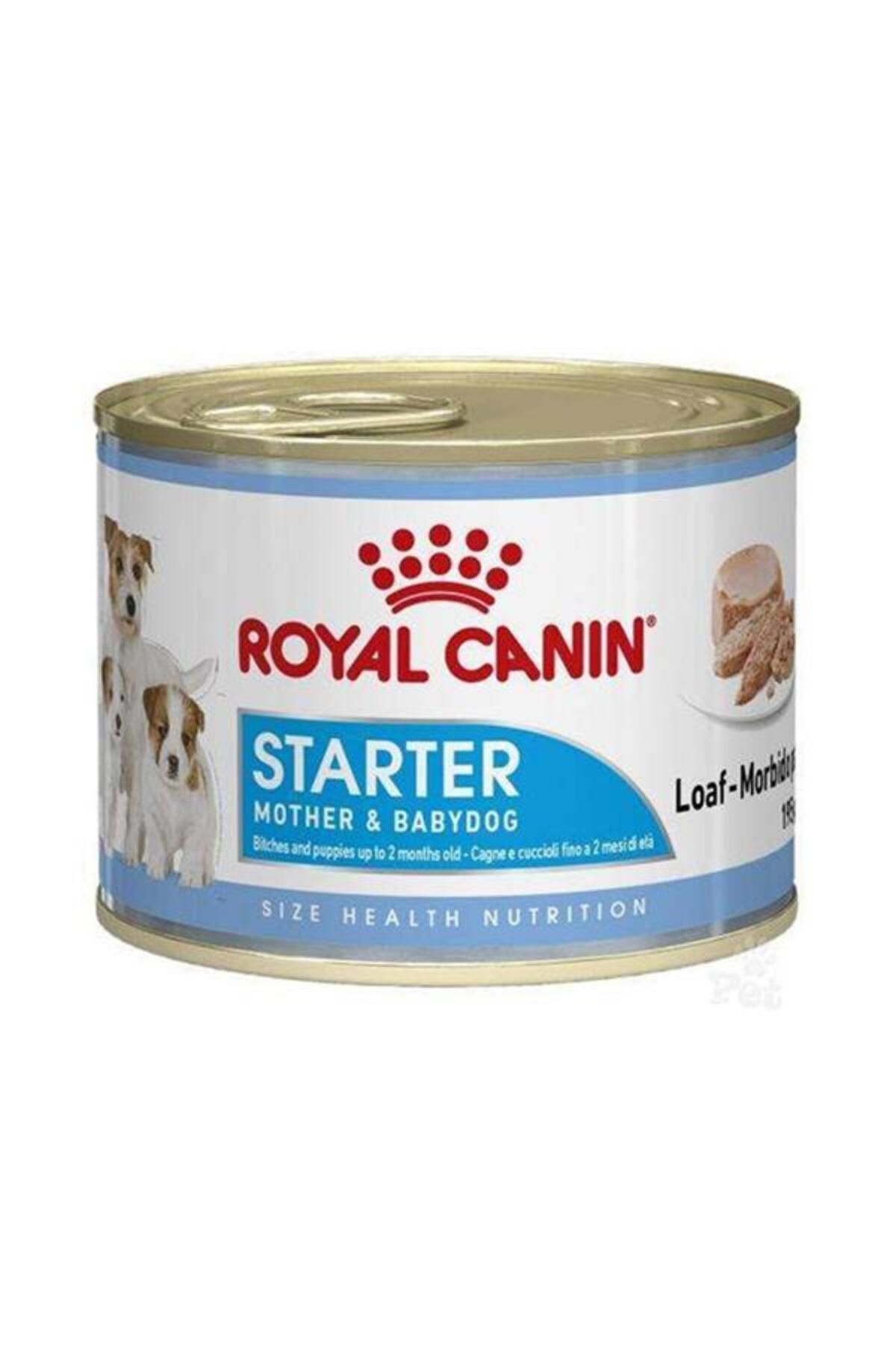 Royal Canin Starter Anne Ve Yavru Köpek Konservesi 195gr