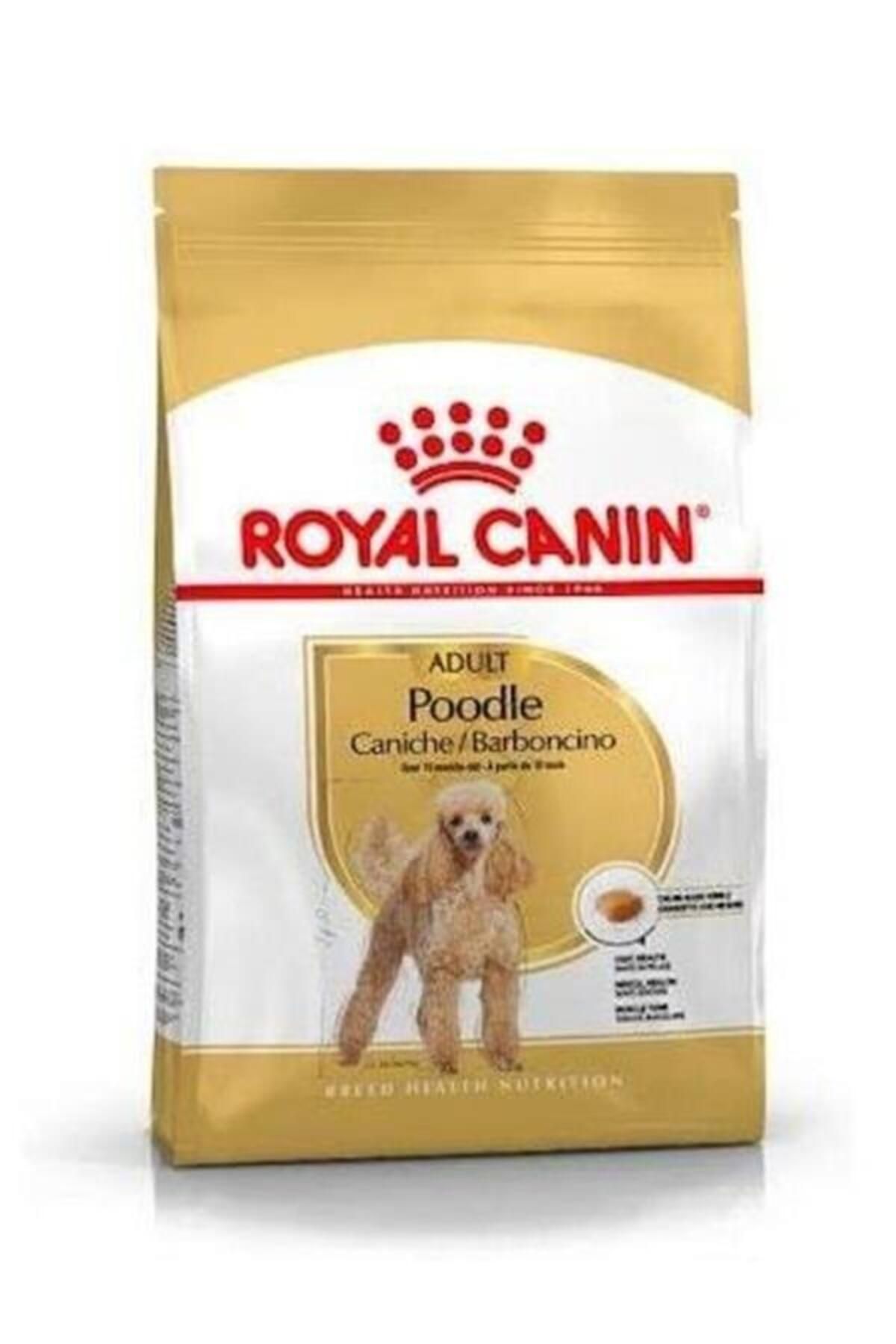 Royal Canin Poodle Yetişkin Köpek Maması 3kg