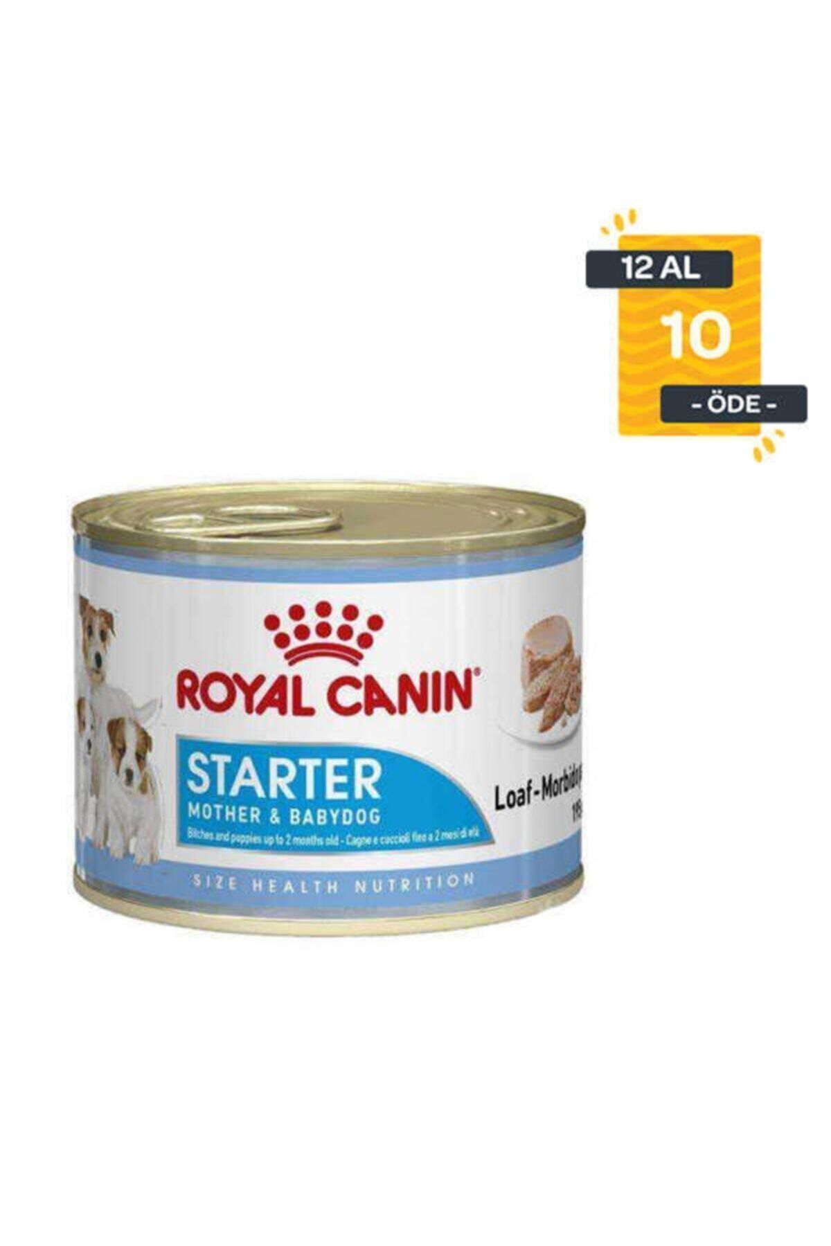 Royal Canin Starter Mousse Yavru Köpek Konservesi 195 Gr X 12 Adet