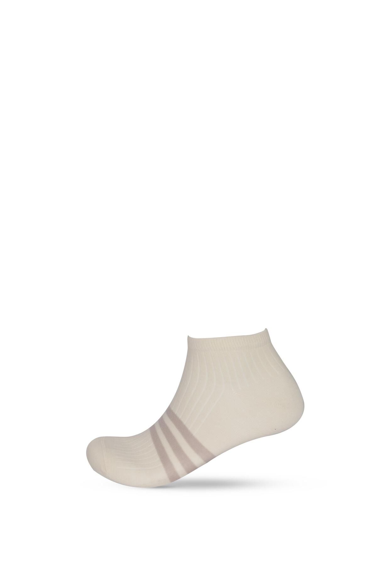 Katia&Bony-Men's Stripe Detailed 3-Piece Step Socks 5