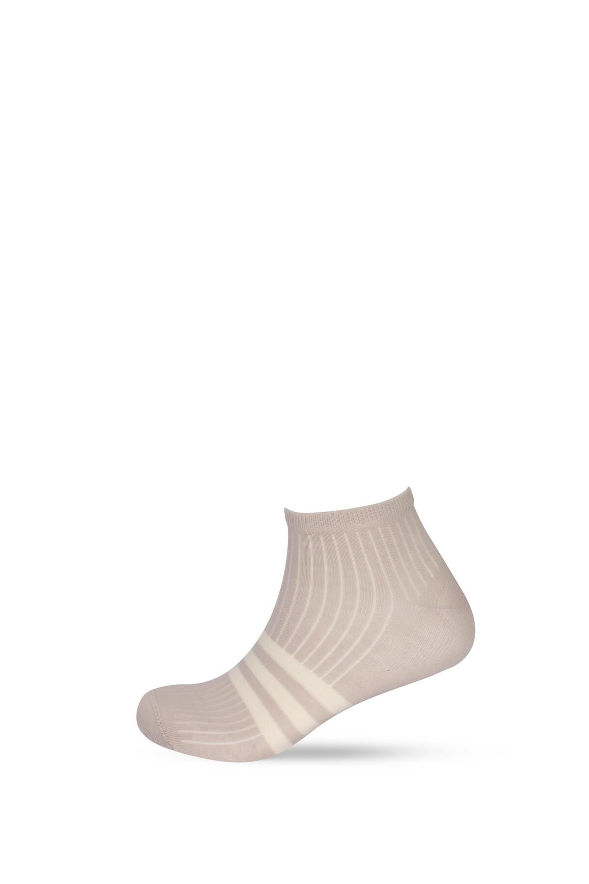 Katia&Bony-Men's Stripe Detailed 3-Piece Step Socks 6