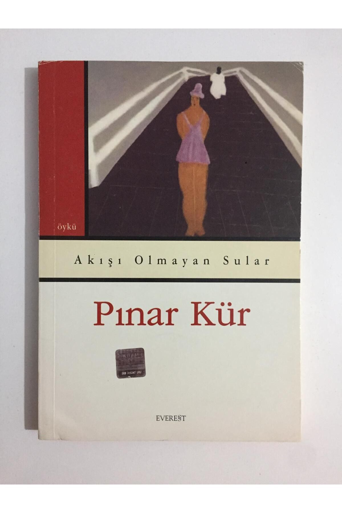 Akışı Olmayan Sular - Pınar Kür