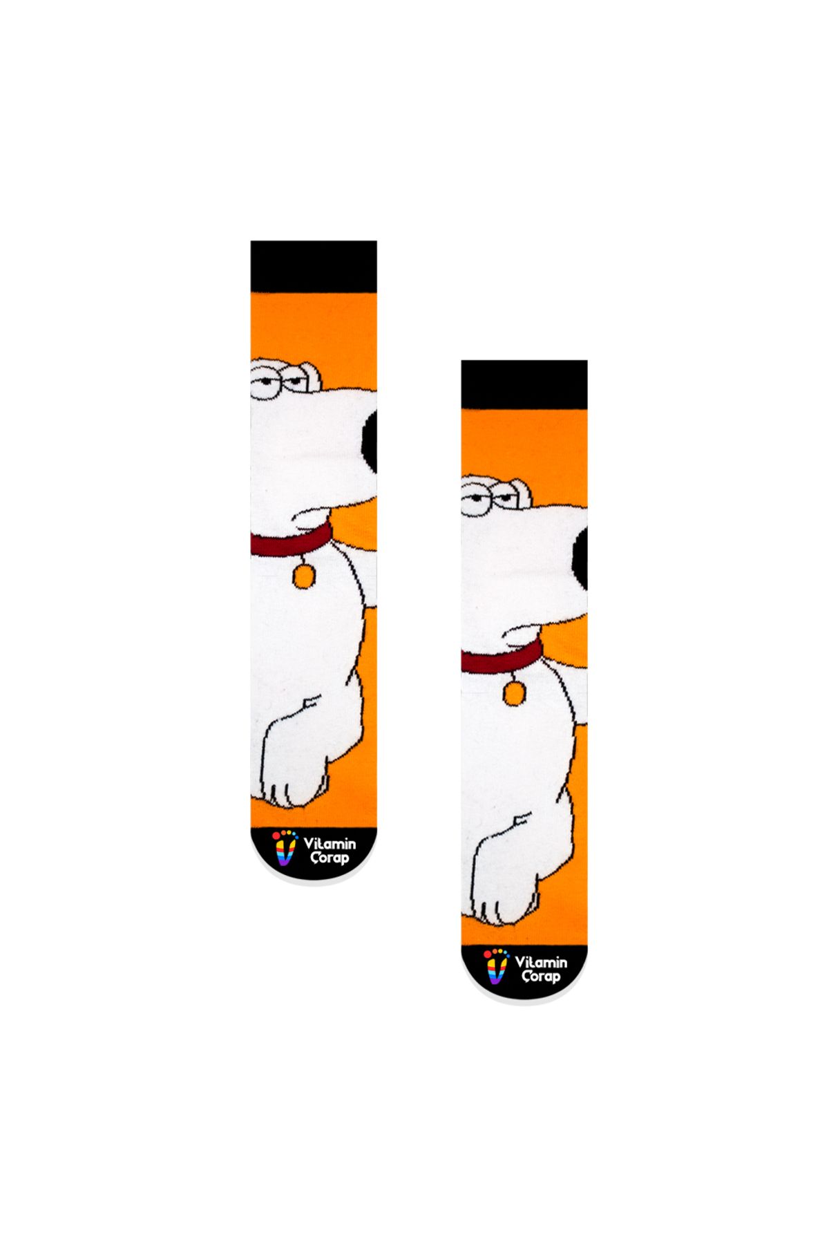 Vitamin Çorap-Family Guy Brian Griffin Colorful Socks 1