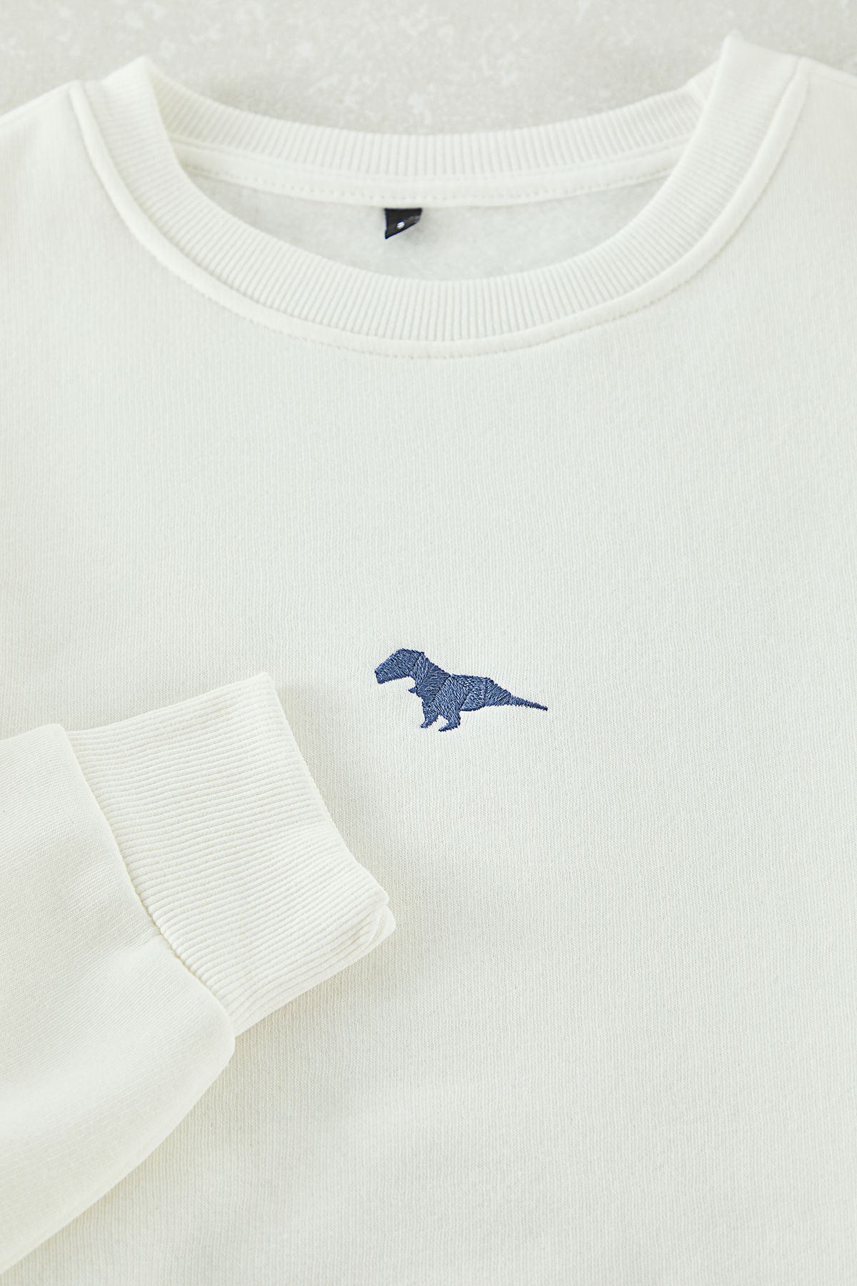 Trendyol Collection-Ecru Crew Neck Oversize/Wide Cut Fleece Inside Dinosaur Embroidery Sweatshirt Tmnaw24Sw00064 7