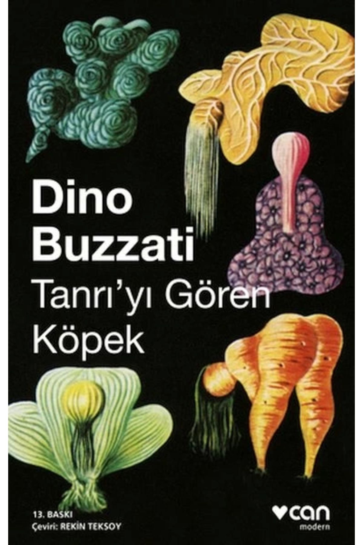 Tanrıyı Gören Köpek