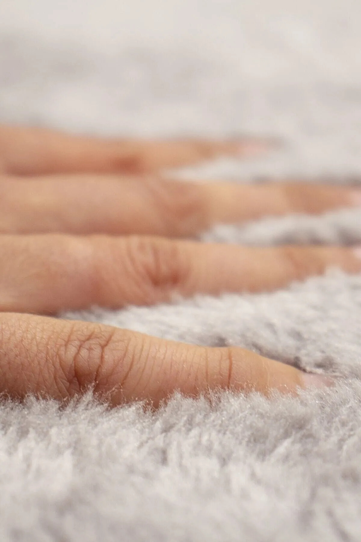 SANRUGS Home & Living Carpet Gray Polyester Trendyol