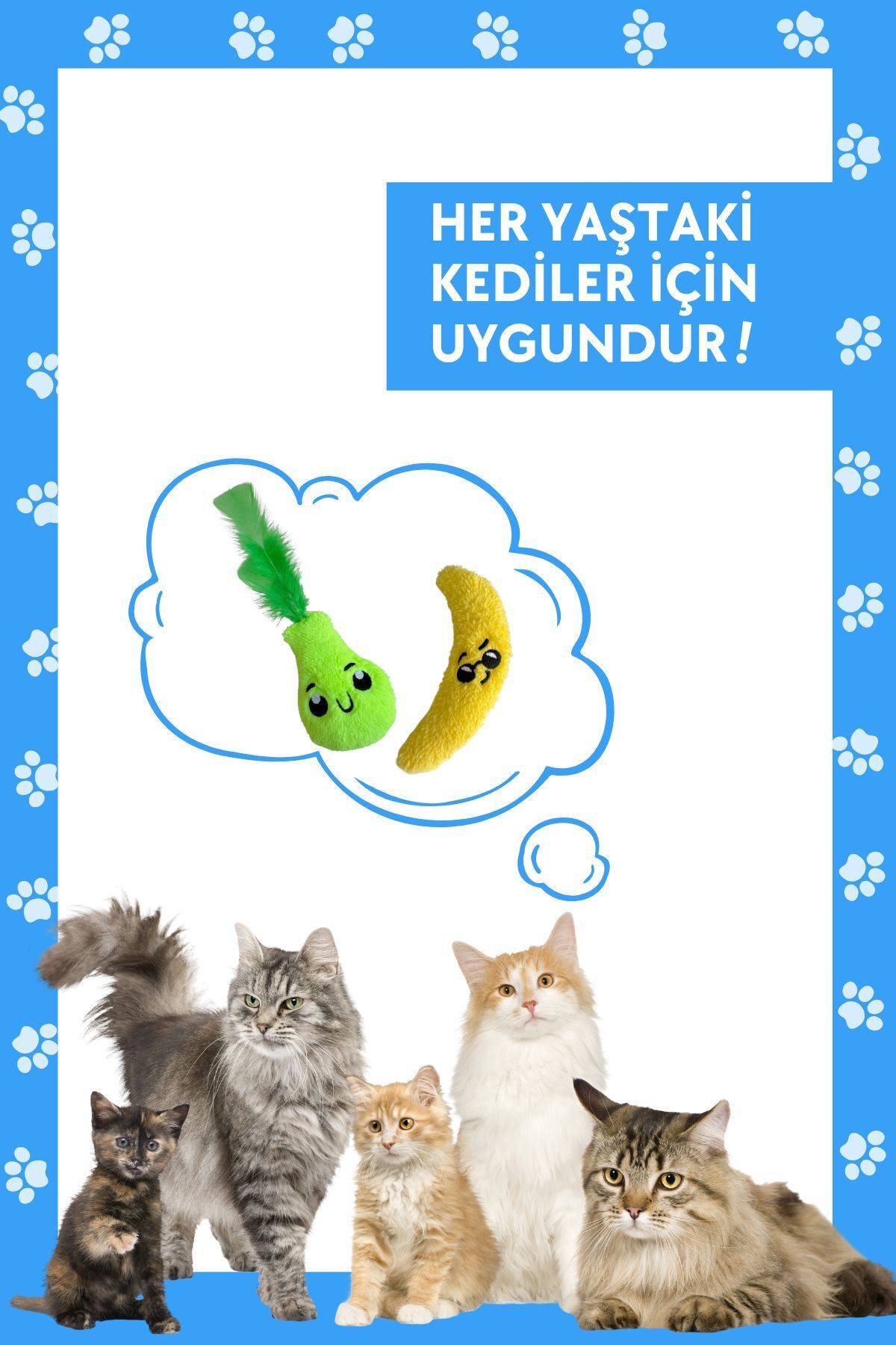 Miyav-Cat Toy Set - Plush Banana and Pear Cat Toys with Herb and Catnip 8