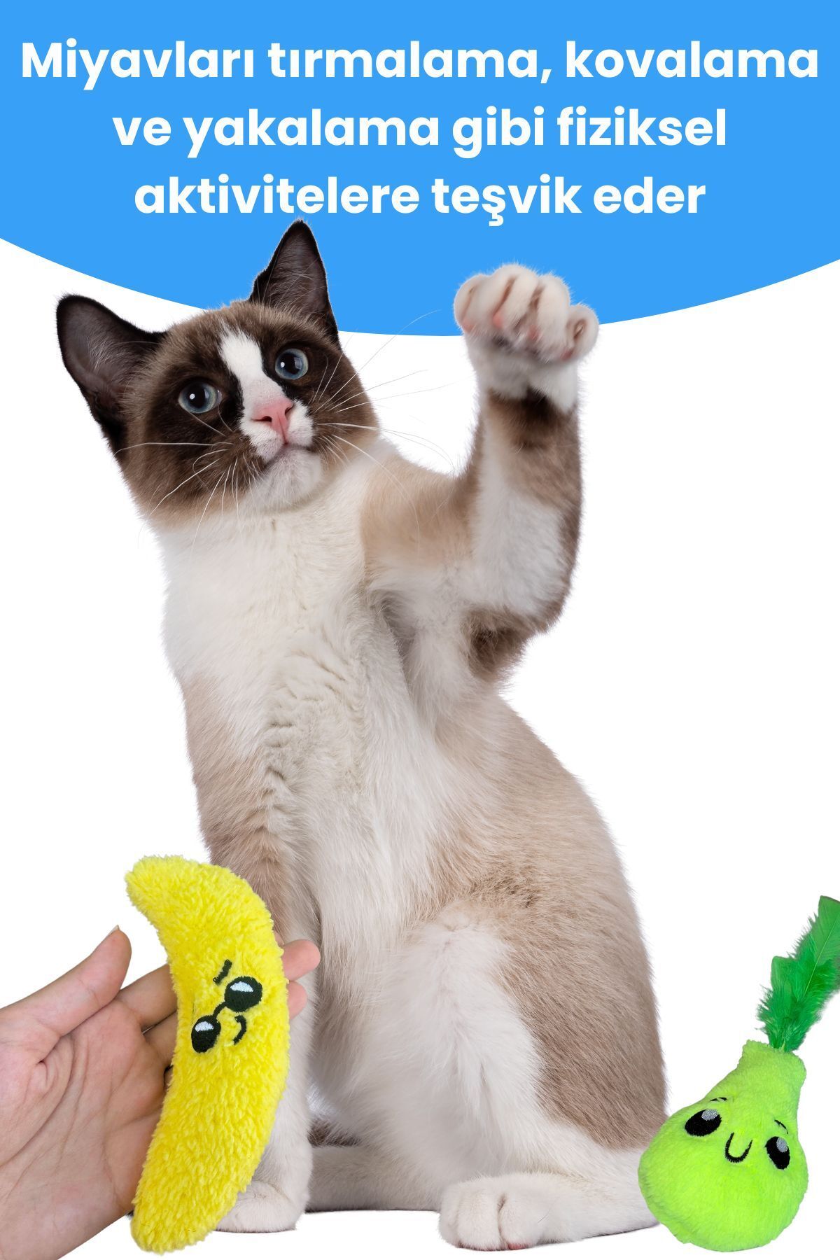 Miyav-Cat Toy Set - Plush Banana and Pear Cat Toys with Herb and Catnip 6