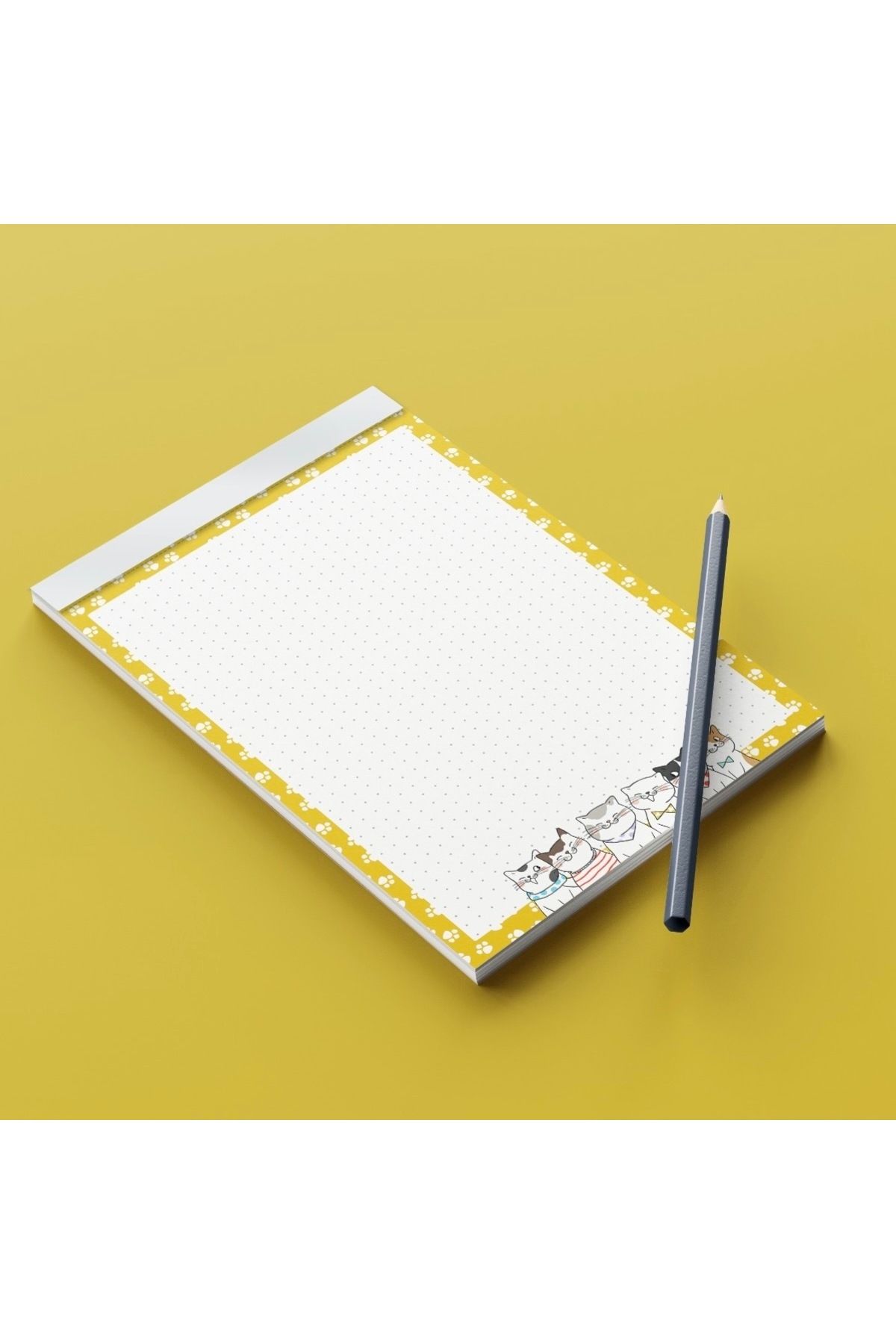 Fragman Yayınları-School Notebook and Notepad Set - Cat Design 4