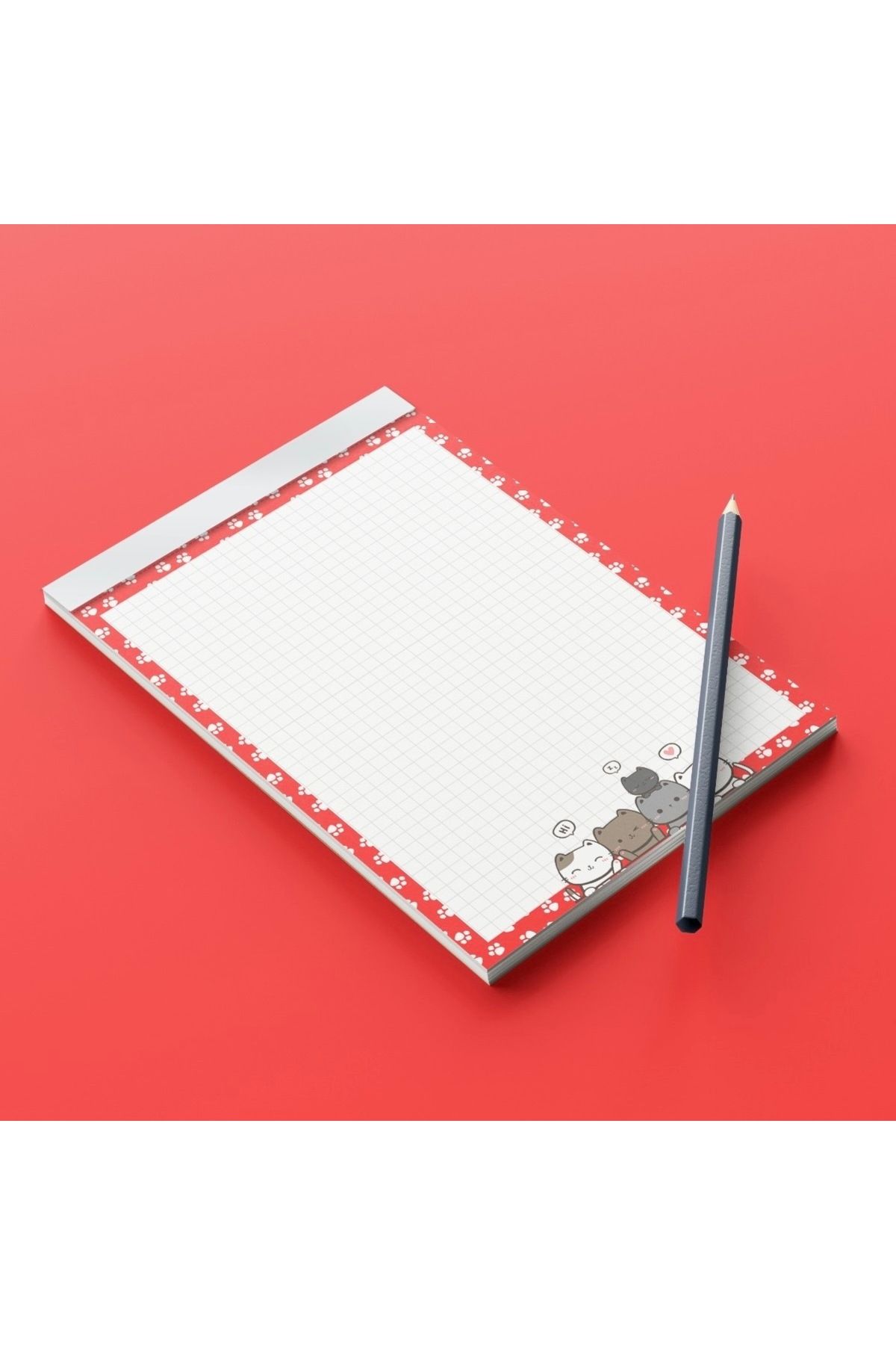 Fragman Yayınları-School Notebook and Notepad Set - Cat Design 2