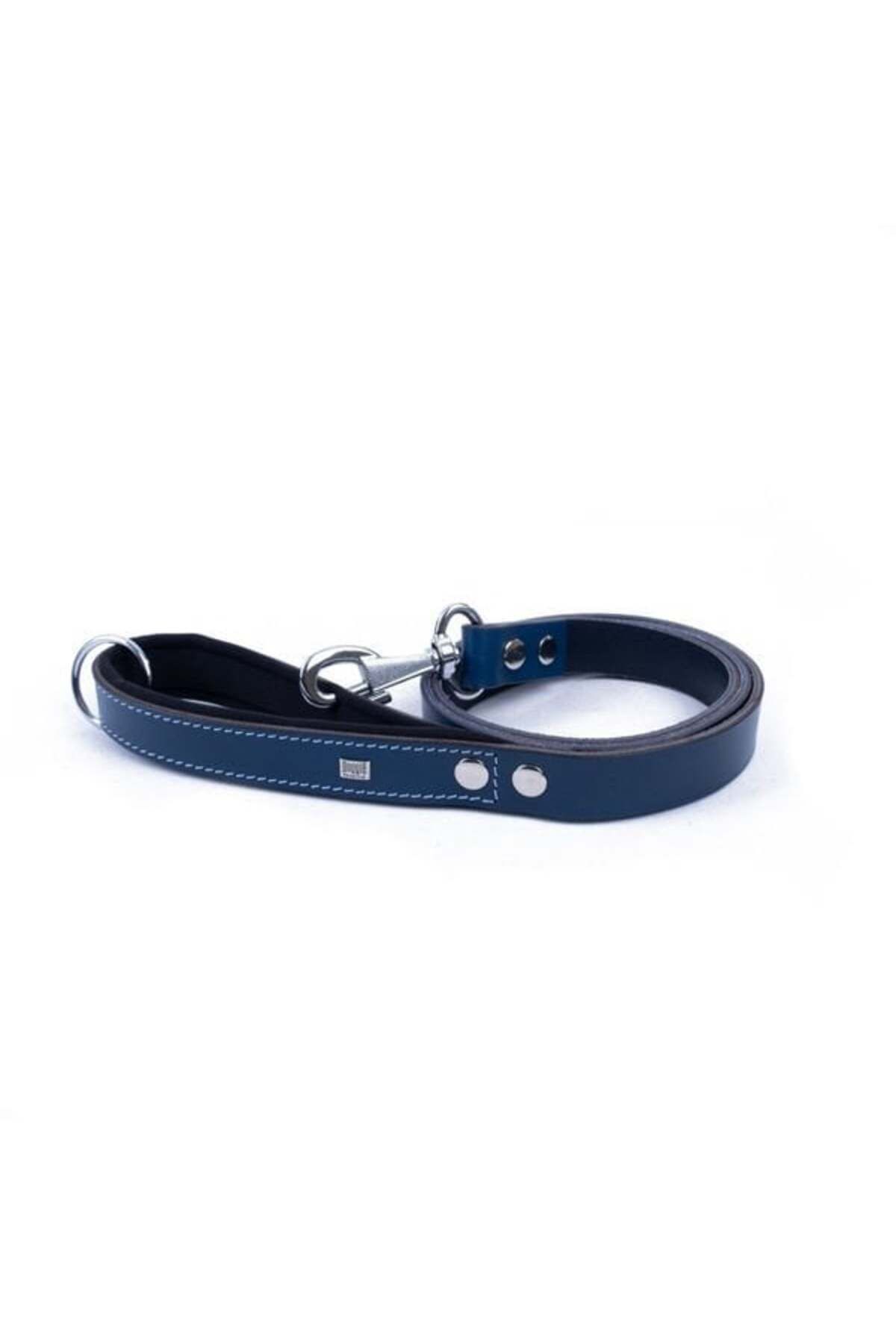 O Dog Doggie Konfor Deri Köpek Gezdirme Tasması Medium Royal Mavi 2.5x120 Cm - Petshopundan