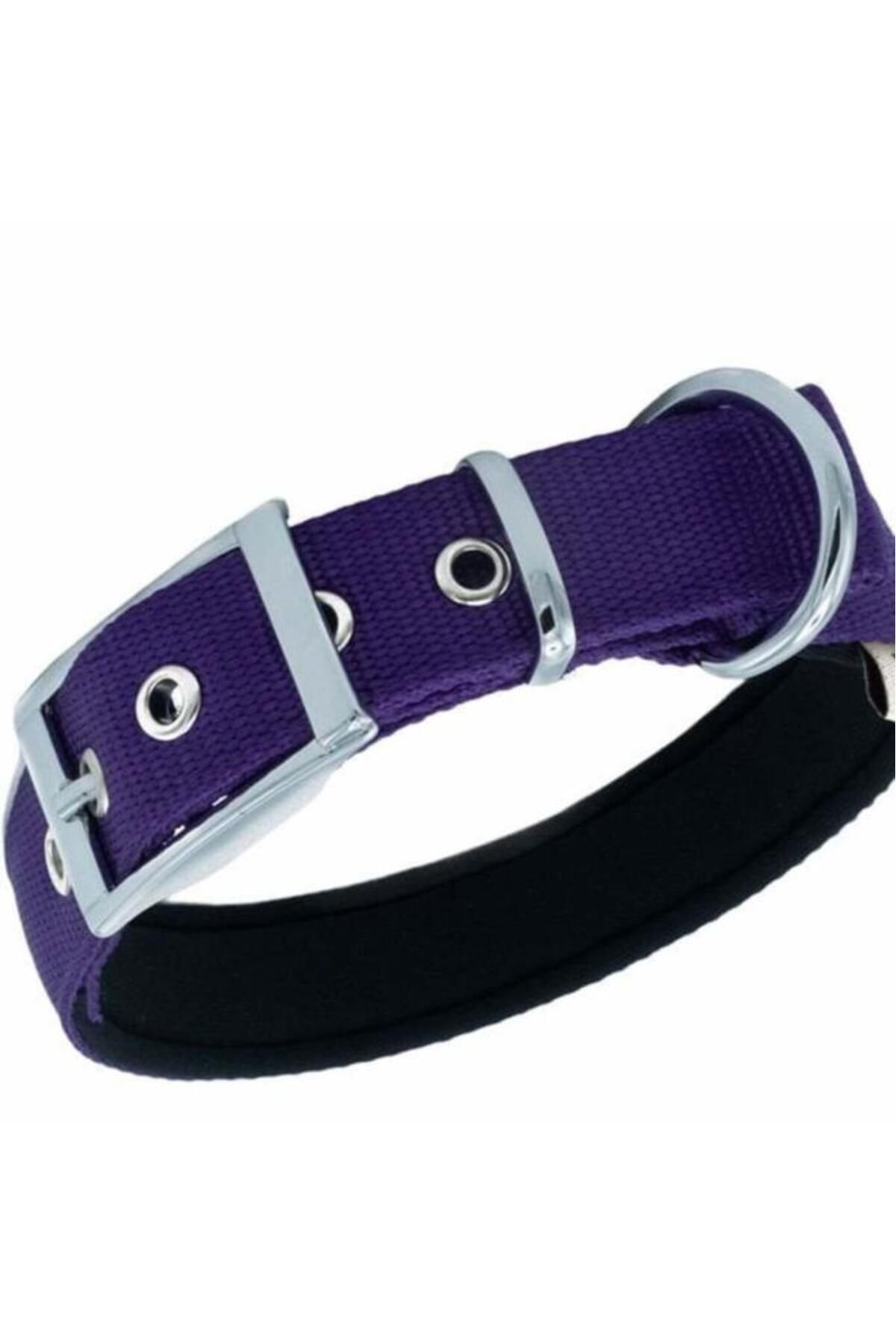 O Dog Furlo Doggie Elit Dokuma Köpek Boyun Tasması Medium Mor 2.5x37-45 Cm