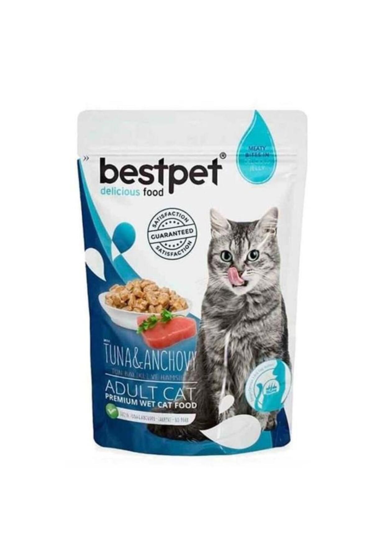 Bestpet Tahılsız Jöle Içinde Ton Balıklı Ve Hamsili Yetişkin Kedi Konservesi 85 Gr. (STT:10/2026) -