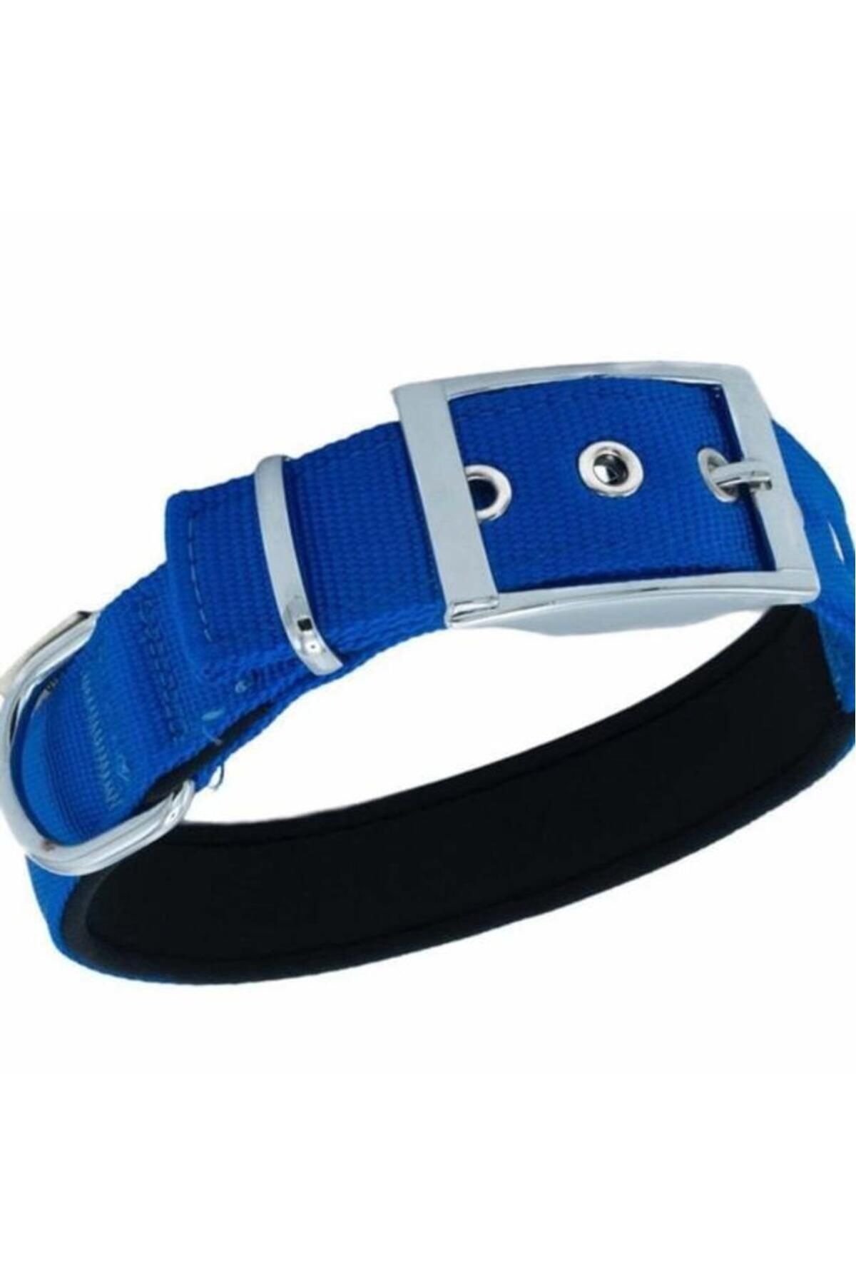 O Dog Furlo Doggie Elit Dokuma Köpek Boyun Tasması Medium Royal Mavi 3x42-50 Cm