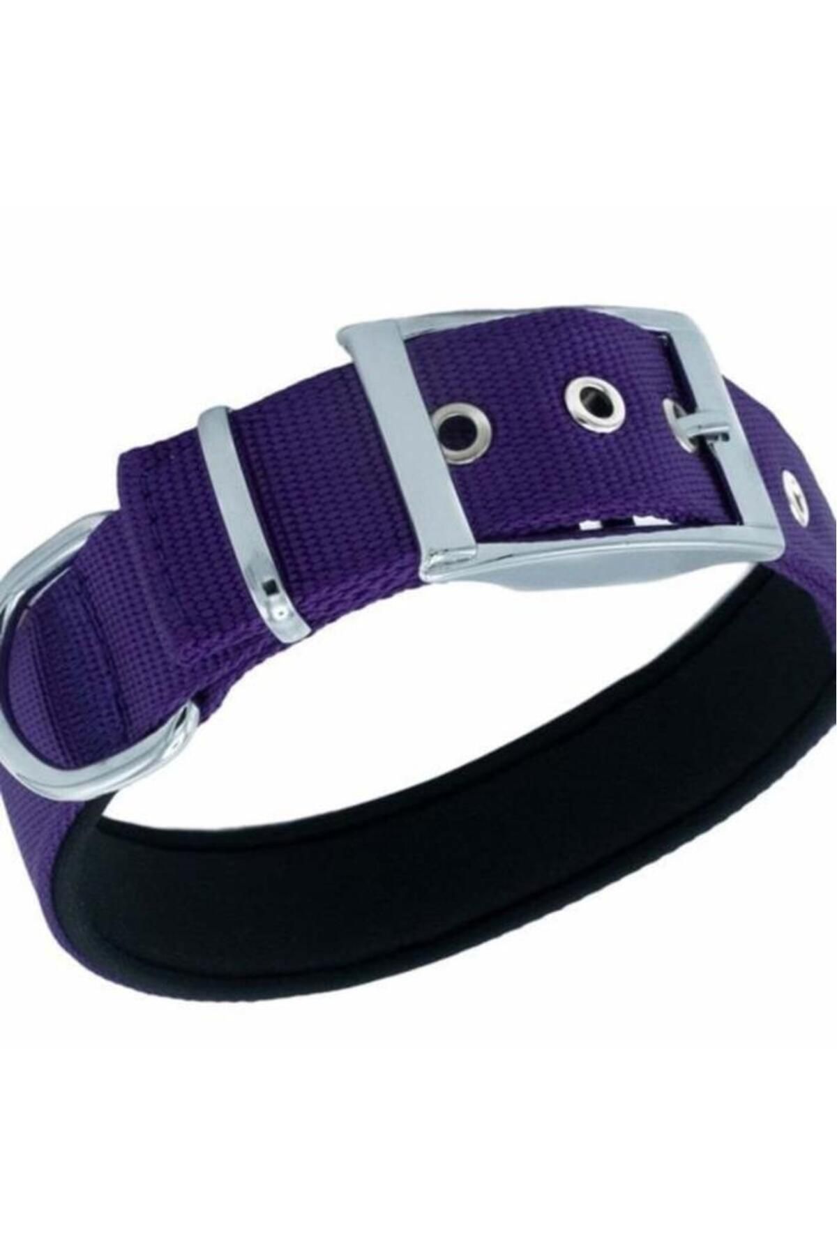 O Dog Doggie Elit Dokuma Köpek Boyun Tasması Medium Mor 3x42-50 Cm - Petshopundan