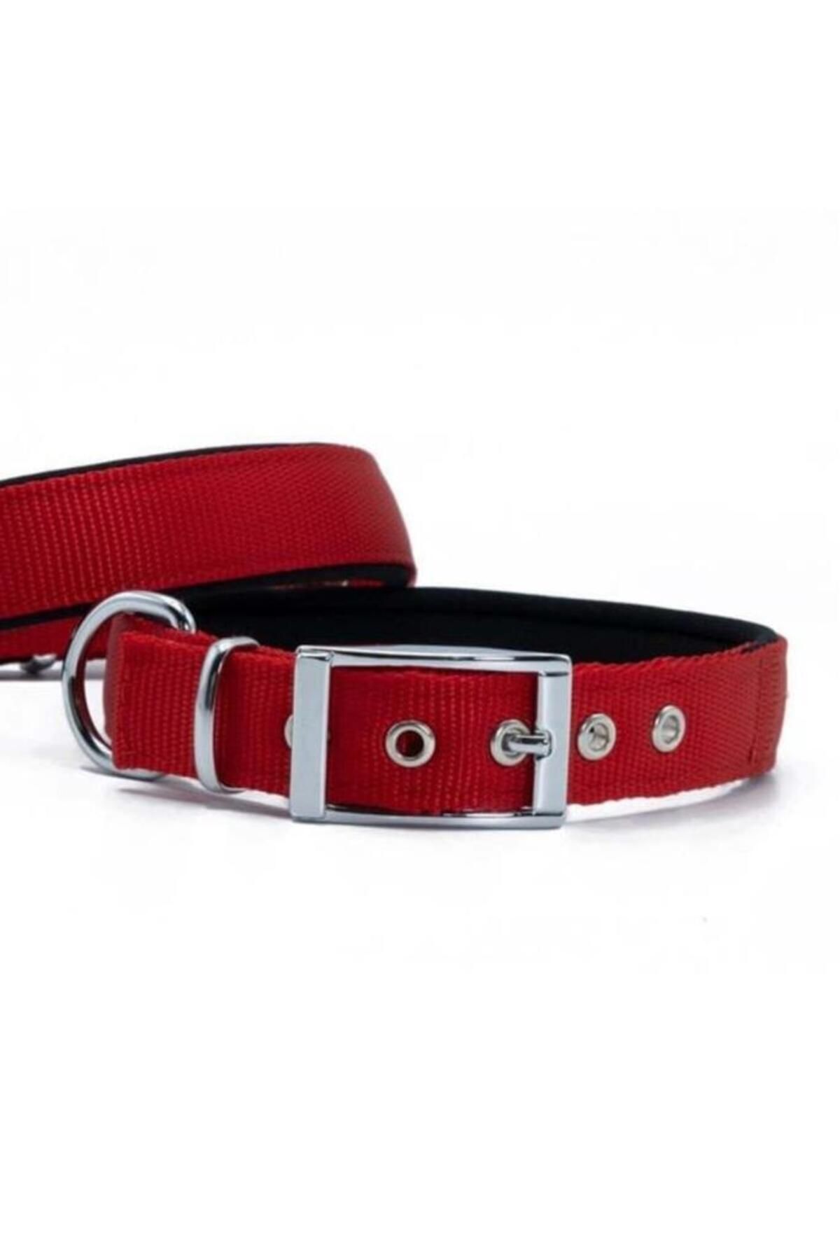 O Dog Furlo Doggie Elit Dokuma Köpek Boyun Tasması Large Kırmızı 2.5x42-50 Cm