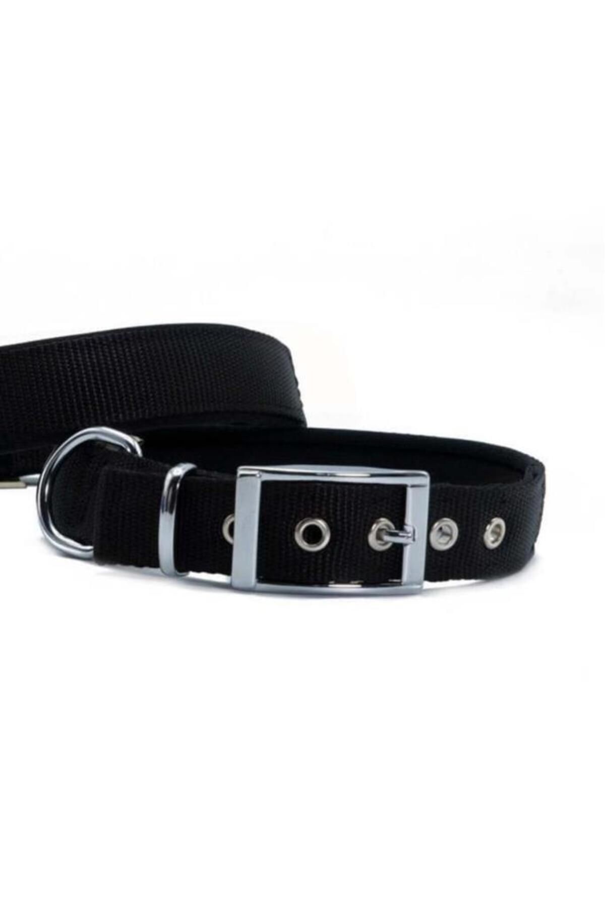 O Dog Furlo Doggie Elit Dokuma Köpek Boyun Tasması Large Siyah 2.5x42-50 Cm