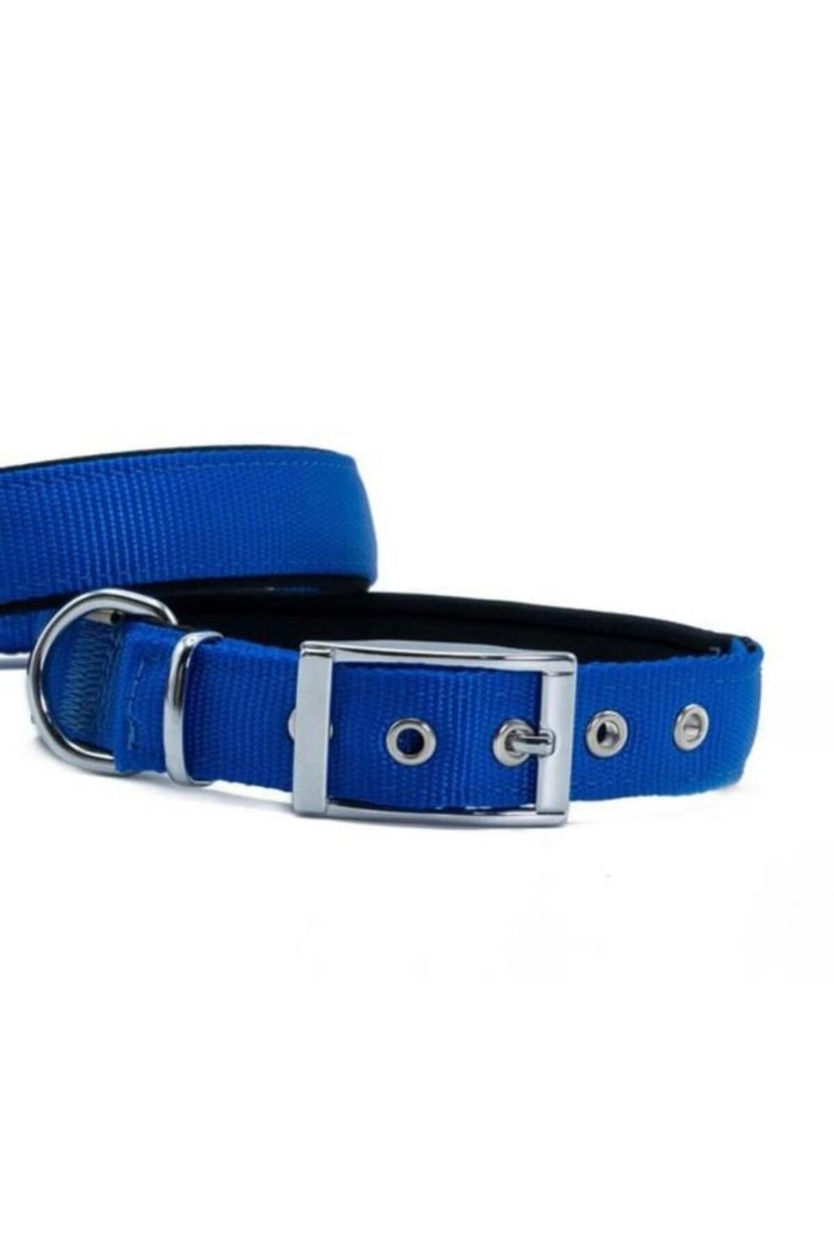 O Dog Furlo Doggie Elit Dokuma Köpek Boyun Tasması Medium Royal Mavi 2.5x37-45 Cm