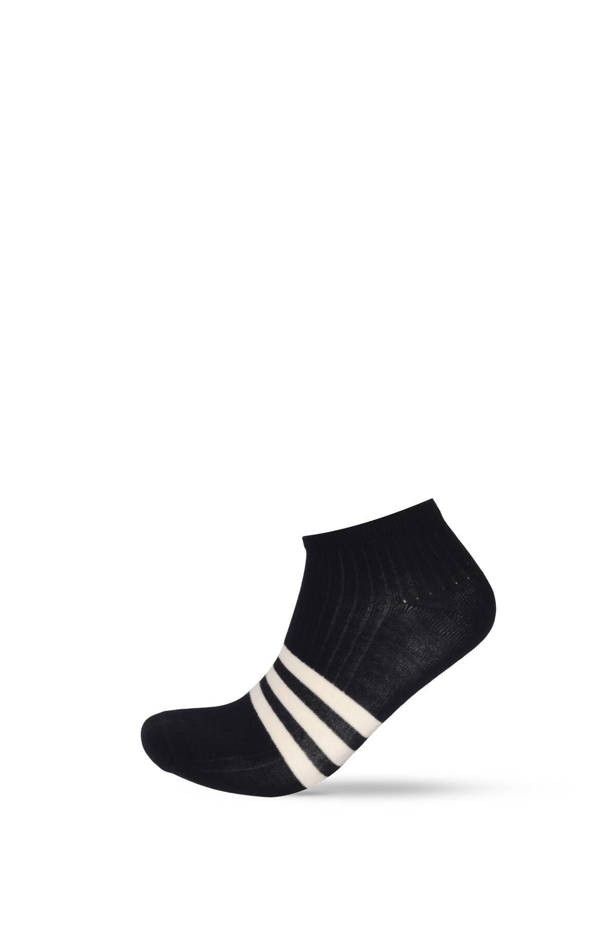 Katia&Bony-Men's Stripe Detailed 3-Piece Step Socks 4