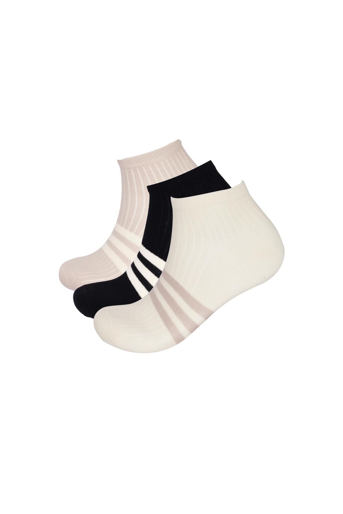 Katia&Bony-Men's Stripe Detailed 3-Piece Step Socks 3