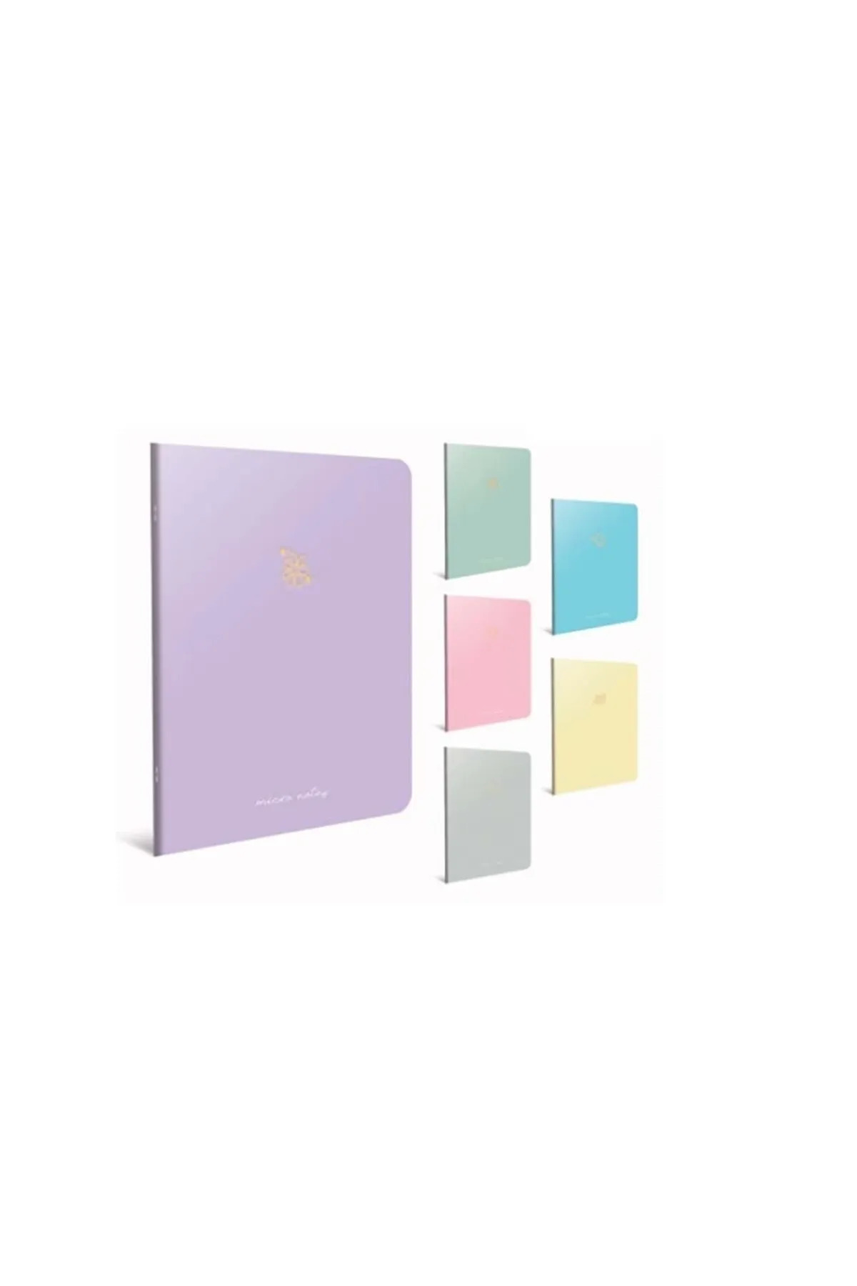 Gıpta Micro Notes Tel Dikiş Karton Kapak 13x21 60 Yaprak Çizgili