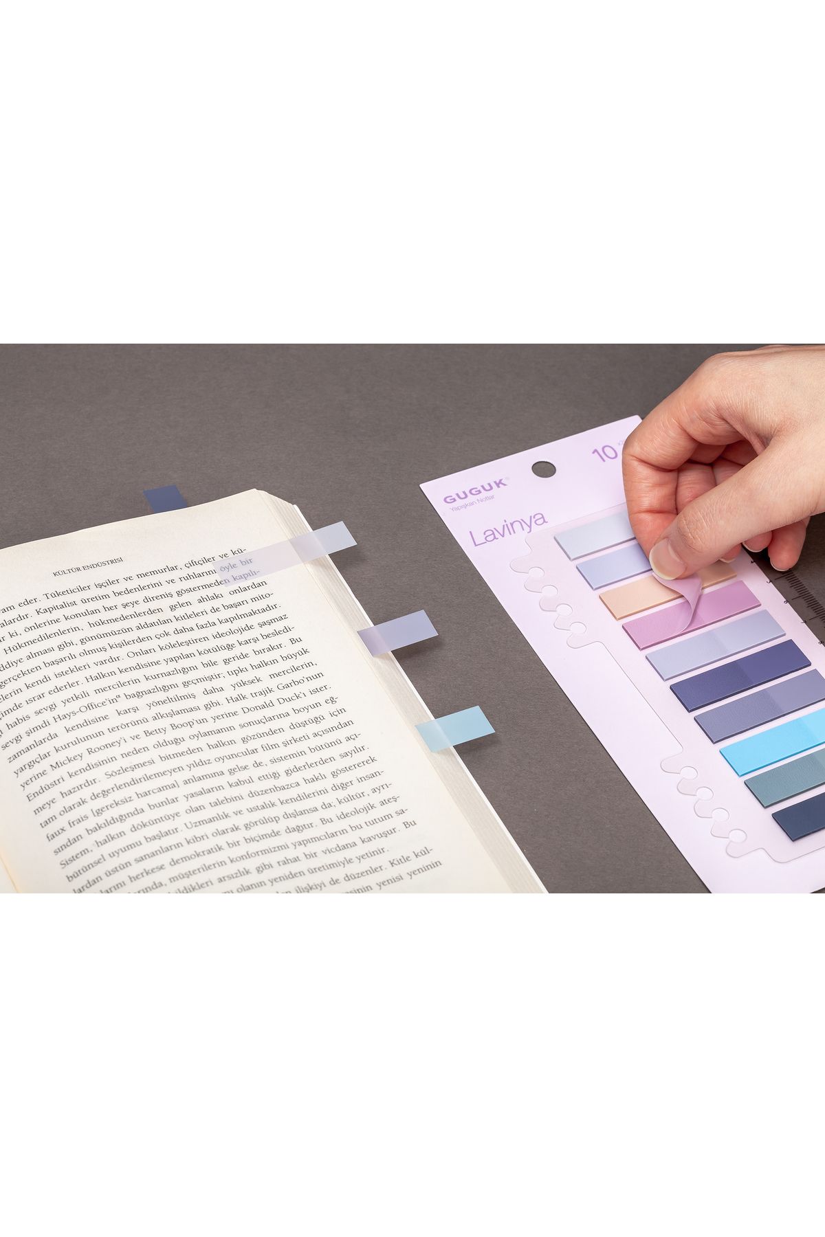 GUGUK-Lavinya 10-Color Transparent Pet Index - Post-It Sticky Note 3