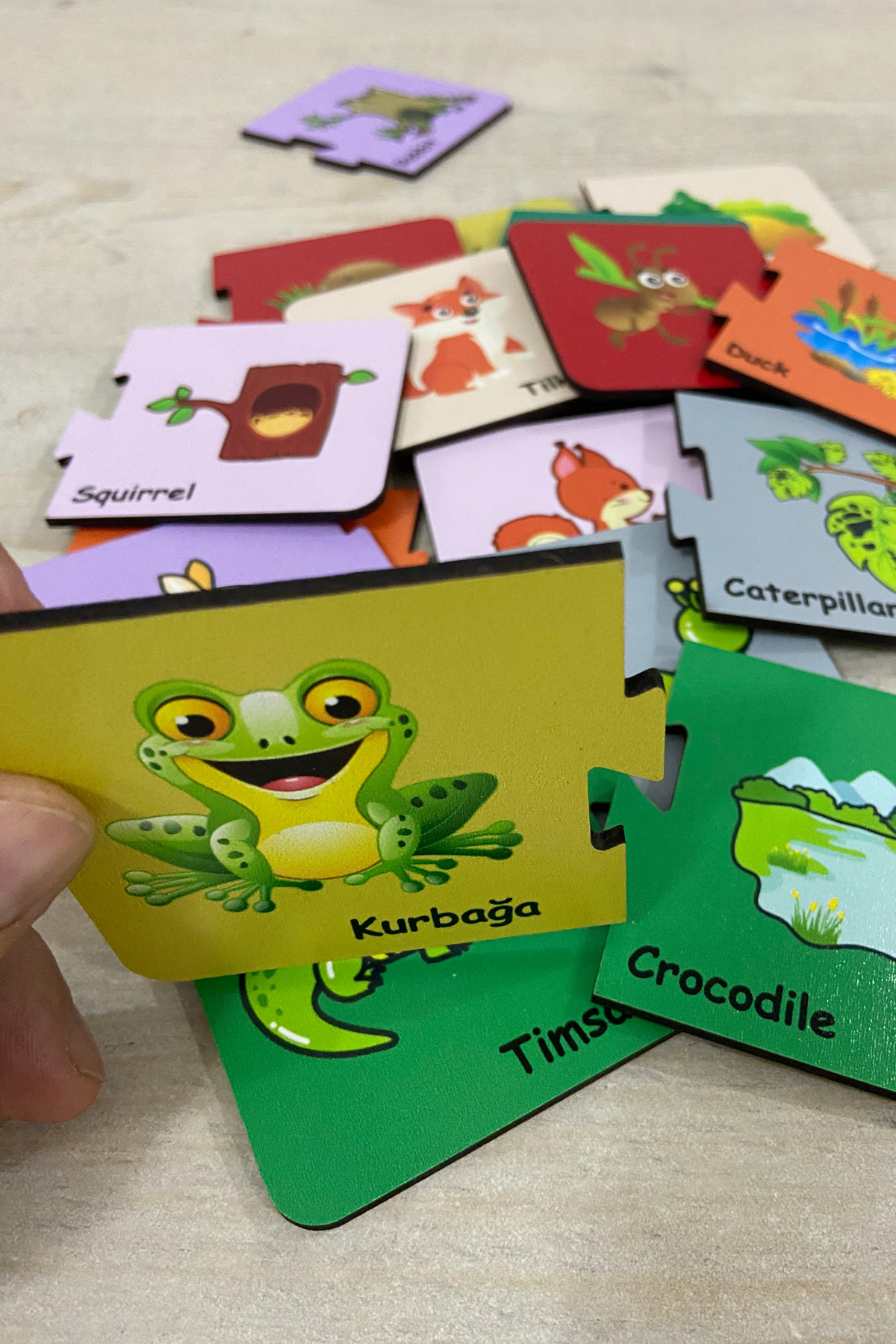 Leelii Tasarım Türkçe-İngilizce Eşleştirme Oyunu, Sevimli Hayvanlar Zeka Kartları, Ahşap Eğitici Puzzle Oyuncak fotoğrafı 6 (önizleme)