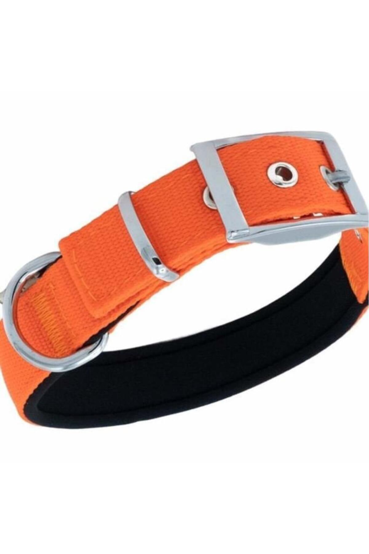 O Dog Furlo Doggie Elit Dokuma Köpek Boyun Tasması Large Turuncu 2.5x42-50 Cm