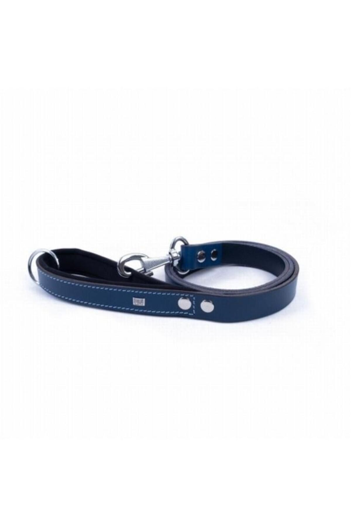 O Dog Doggie Konfor Deri Köpek Gezdirme Tasması Small Royal Mavi 3x100 Cm - Petshopundan
