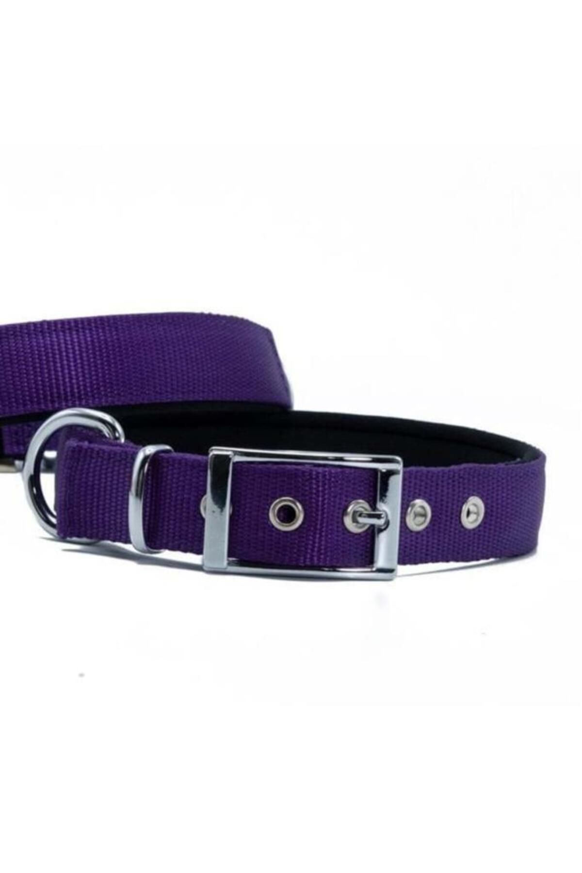 O Dog Furlo Doggie Elit Dokuma Köpek Boyun Tasması Large Mor 2.5x42-50 Cm