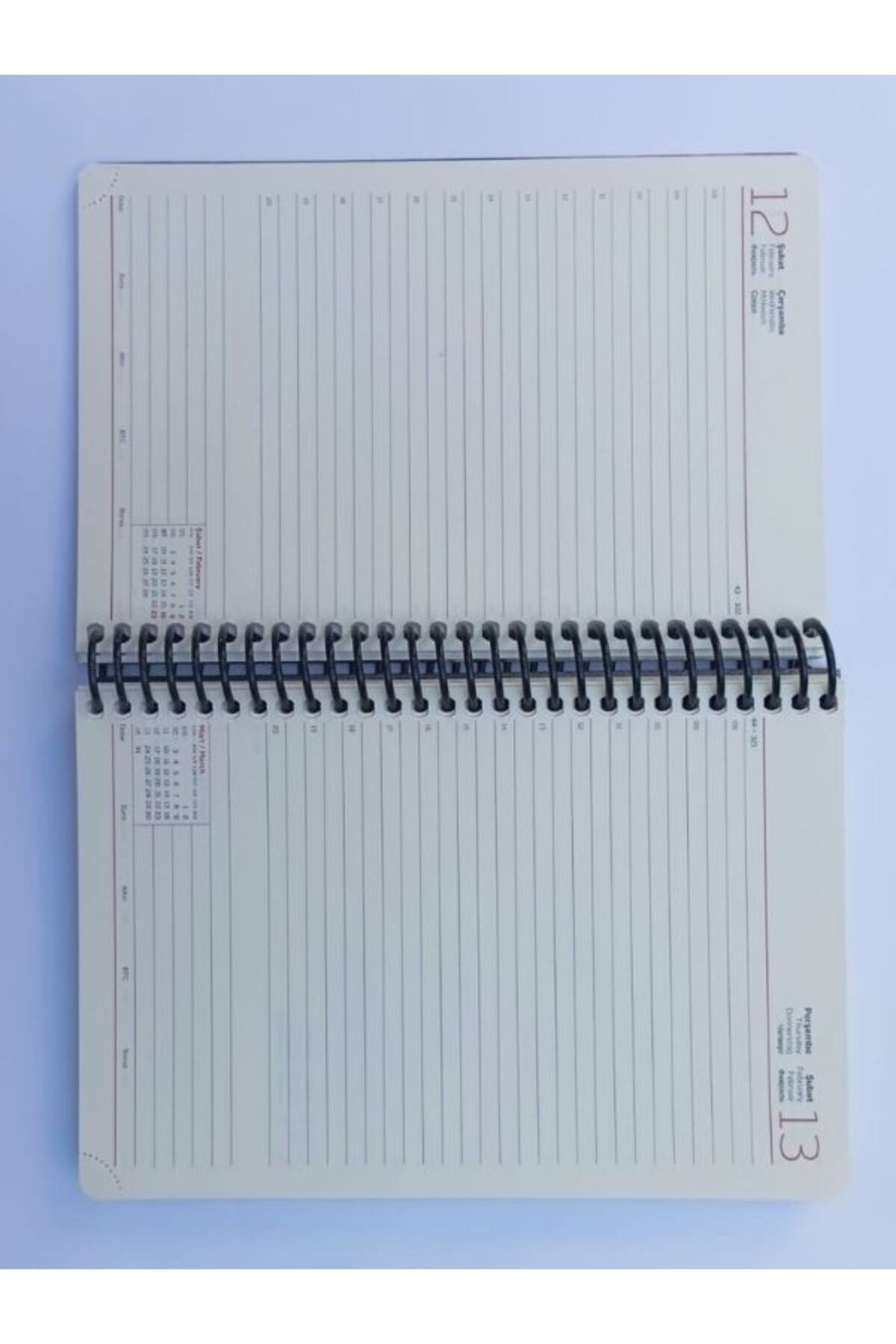 Gıpta-2025 Model Blue Stationery - Agenda 409-Akk, 17*24 Daily Use 2