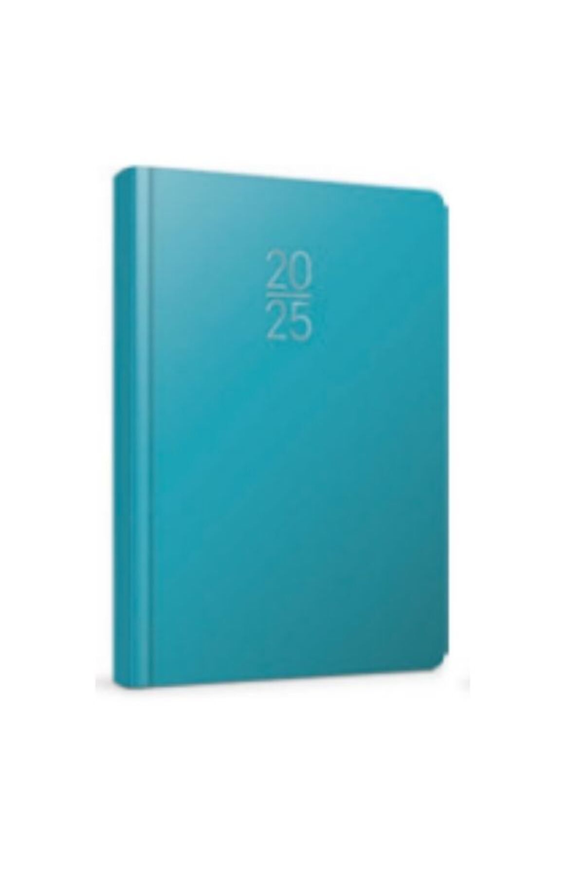 Gıpta-Agenda 2025 - Gipta 14*20 Turquoise Daily 100-Eck 1